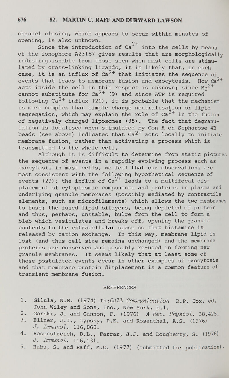 676 82. MARTIN С. RAFF AND DURWAIШ LAWSON channel closing, which appears to occur within minutes of opening, is also unknown. 2^ Since the introduction of Ca into the cells by means of the ionophore A23187 gives results that are morphologically indistinguishable from those seen when mast cells are stimu¬ lated by cross-linking ligands, it is likely that, in each case, it is an influx of Ca^* that initiates the sequence of events that leads to membrane fusion and exocytosis. How Ca^* acts inside the cell in this respect is unknown; since Mg^* cannot substitute for Ca^^ (9) and since ATP is required following Ca^* influx (21) , it is probable that the mechanism is more complex than simple charge neutralisation or lipid segregation, which may explain the role of Ca^* in the fusion of negatively charged liposomes (35). The fact that degranu- lation is localised when stimulated by Con A on Sepharose 4B beads (see above) indicates that Ca2+ acts locally to initiate membrane fusion, rather than activating a process which is transmitted to the whole cell. Although it is difficult to determine from static pictures the sequence of events in a rapidly evolving process such as exocytosis in mast cells, we feel that our observations are most consistent with the following hypothetical sequence of events (29) : the influx of Ca^^ leads to a multifocal dis¬ placement of cytoplasmic components and proteins in plasma and underlying granule membranes (possibly mediated by contractile elements, such as microfilaments) which allows the two membranes to fuse; the fused lipid bilayers, being depleted of protein and thus, perhaps, unstable, bulge from the cell to form a bleb which vesiculates and breaks off, opening the granule contents to the extracellular space so that histamine is released by cation exchange. In this way, membrane lipid is lost (and thus cell size remains unchanged) and the membrane proteins are conserved and possibly re-used in forming new granule membranes. It seems likely that at least some of these postulated events occur in other examples of exocytosis and that membrane protein displacement is a common feature of transient membrane fusion. REFERENCES 1. Gilula, N.B. (1974) IniCeZZ Cormuniaatïon R.P. Cox, ed. John Wiley and Sons, Inc., New York, p.l. 2. Gorski, J. and Gannon, F. (1976) A Rev. Physiol. 38,425. 3. Ellner, J.J., Lypsky, P.E. and Rosenthal, A.S. (1976) J. Immunol. 116,868. 4. Rosenstreich, D.L., Farrar, J.J. and Dougherty, S. (1976) J. Immunol. 116,131. 5. Habu, S. and Raff, M.C. (1977) (submitted for publication). M