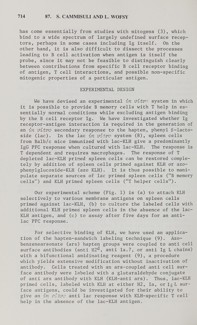 714 87. S. CAMMISULI AND L. WOFSY has come essentially from studies with mitogens (3), which bind to a wide spectrum of largely undefined surface recep¬ tors, perhaps in some cases including Ig itself. On the other hand, it is also difficult to dissect the processes leading to В cell activation when antigen is itself the probe, since it may not be feasible to distinguish clearly between contributions from specific В cell receptor binding of antigen, T cell interactions, and possible non-specific mitogenic properties of a particular antigen. EXPERIMENTAL DESIGN We have devised an experimental in vitro system in which it is possible to provide В memory cells with T help in es¬ sentially normal conditions while excluding antigen binding by the В cell receptor Ig. We have investigated whether Ig receptor-antigen interaction is required in the generation of an in vitro secondary response to the hapten, phenyl 3-lacto- side (lac). In the lac in vitro system (8), spleen cells from Balb/c mice immunized with lac-KLH give a predominantly IgG PFC response when cultured with lac-KLH. The response is T dependent and requires macrophages. The response of T depleted lac-KLH primed spleen cells can be restored comple¬ tely by addition of spleen cells primed against KLH or azo- phenylglucoside-KLH (azo KLH). It is thus possible to mani¬ pulate separate sources of lac primed spleen cells (B memory cells) and KLH primed spleen cells (T helper cells). Our experimental scheme (Fig. 1) is (a) to attach KLH selectively to various membrane antigens on spleen cells primed against lac-KLH, (b) to culture the labeled cells with additional KLH primed spleen cells in the absence of the lac- KLH antigen, and (c) to assay after five days for an anti- lac PFC response. For selective binding of KLH, we have used an applica¬ tion of the hapten-sandwich labeling technique (9). Azo- benzenearsonate (ars) hapten groups were coupled to anti cell surface antibodies (anti H2'^, anti la. 7, or anti Ig L chains) with a bifunctional amidinating reagent (9), a procedure which yields extensive modification without inactivation of antibody. Cells treated with an ars-coupled anti cell sur¬ face antibody were labeled with a glutaraldehyde conjugate of anti ars antibody with KLH (KLH-anti ars). Thus, lac-KLH primed cells, labeled with KLH at either H2, la, or Ig L sur¬ face antigens, could be investigated for their ability to give an in vibro anti lac response with KLH-specific T cell help in the absence of the lac-KLH antigen.