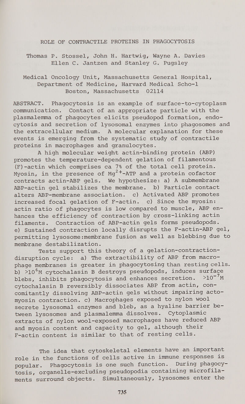 ROLE OF CONTRACTILE PROTEINS IN PHAGOCYTOSIS Thomas P. Stessei, John H. Hartwig, Wayne A. Davies Ellen C. Jantzen and Stanley G. Pugsley Medical Oncology Unit, Massachusetts General Hospital, Department of Medicine, Harvard Medical Scho-1 Boston, Massachusetts 02114 ABSTRACT. Phagocytosis is an example of surface-to-cytoplasm communication. Contact of an appropriate particle with the plasmalemma of phagocytes elicits pseudopod formation, endo- cytosis and secretion of lysosomal enzymes into phagosomes and the extracellular medium. A molecular explanation for these events is emerging from the systematic study of contractile proteins in macrophages and granulocytes. A high molecular weight actin-binding protein (ABP) promotes the temperature-dependent gelation of filamentous (F)-actin which comprises ca 7% of the total cell protein. Myosin, in the presence of Mg^^-ATP and a protein cofactor contracts actin-ABP gels. We hypothesize: a) A submembrane ABP-actin gel stabilizes the membrane, b) Particle contact alters ABP-membrane association, c) Activated ABP promotes increased focal gelation of F-actin. c) Since the myosin: actin ratio of phagocytes is low compared to muscle, ABP en¬ hances the efficiency of contraction by cross-linking actin filaments. Contraction of ABP-actin gels forms pseudopods. e) Sustained contraction locally disrupts the F-actin-ABP gel, permitting lysosome:membrane fusion as well as blebbing due to membrane destabilization. Tests support this theory of a gelation-contraction- disruption cycle : a) The extractibility of ABP from macro¬ phage membranes is greater in phagocytosing than resting cells, b) >10®M cytochalasin В destroys pseudopods, induces surface blebs, inhibits phagocytosis and enhances secretion. >10~^M cytochalasin В reversibly dissociates ABP from actin, con¬ comitantly dissolving ABP-actin gels without impairing acto- myosin contraction, c) Macrophages exposed to nylon wool secrete lysosomal enzymes and bleb, as a hyaline barrier be¬ tween lysosomes and plasmalemma dissolves. Cytoplasmic extracts of nylon wool-exposed macrophages have reduced ABP and myosin content and capacity to gel, although their F-actin content is similar to that of resting cells. The idea that cytoskeletal elements have an important role in the functions of cells active in immune responses is popular. Phagocytosis is one such function. During phagocy¬ tosis, organelle-excluding pseudopodia containing microfila¬ ments surround objects. Simultaneously, lysosomes enter the 735