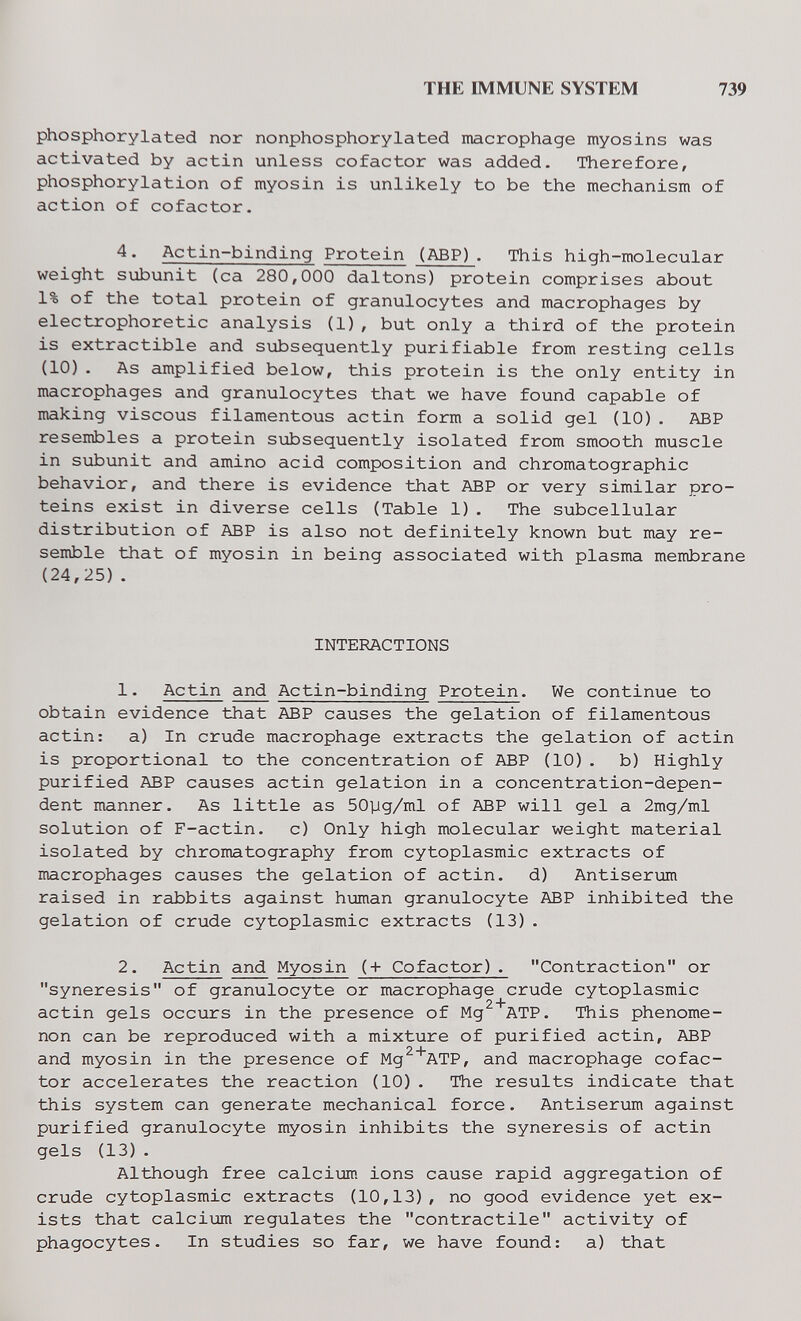 THE IMMUNE SYSTEM 739 phosphorylated nor nonphosphorylated macrophage myosins was activated by actin unless cofactor was added. Therefore, phosphorylation of myosin is unlikely to be the mechanism of action of cofactor. 4. Actin-bindinq Protein (ABP). This high-molecular weight sxabunit (ca 280,000 daltons) protein comprises about 1% of the total protein of granulocytes and macrophages by eleetrophoretic analysis (1), but only a third of the protein is extractible and subsequently purifiable from resting cells (10). As amplified below, this protein is the only entity in macrophages and granulocytes that we have found capable of making viscous filamentous actin form a solid gel (10). ABP resembles a protein subsequently isolated from smooth muscle in subunit and amino acid composition and chromatographic behavior, and there is evidence that ABP or very similar pro¬ teins exist in diverse cells (Table 1). The subcellular distribution of ABP is also not definitely known but may re¬ semble that of myosin in being associated with plasma membrane (24,25). INTERACTIONS 1. Actin and Actin-binding Protein. We continue to obtain evidence that ABP causes the gelation of filamentous actin: a) In crude macrophage extracts the gelation of actin is proportional to the concentration of ABP (10). b) Highly purified ABP causes actin gelation in a concentration-depen¬ dent manner. As little as SOyg/ml of ABP will gel a 2mg/ml solution of F-actin. c) Only high molecular weight material isolated by chromatography from cytoplasmic extracts of macrophages causes the gelation of actin. d) Antiserum raised in rabbits against h\jman granulocyte ABP inhibited the gelation of crude cytoplasmic extracts (13). 2. Actin and Myosin (+ Cofactor). Contraction or syneresis of granulocyte or macrophage crude cytoplasmic actin gels occurs in the presence of Mg^^ATP. This phenome¬ non can be reproduced with a mixture of purified actin, ABP and myosin in the presence of Mg^'^ATP, and macrophage cofac¬ tor accelerates the reaction (10). The results indicate that this system can generate mechanical force. Antiserum against purified granulocyte myosin inhibits the syneresis of actin gels (13) . Although free calcium ions cause rapid aggregation of crude cytoplasmic extracts (10,13), no good evidence yet ex¬ ists that calcium regulates the contractile activity of phagocytes. In studies so far, we have found: a) that