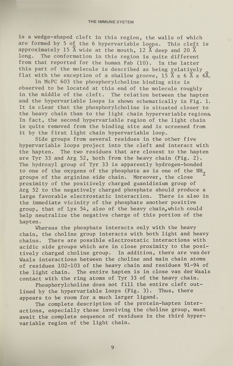 THE IMMUNE SYSTEM is a wedge-shaped cleft in this region, the walls of which are formed by 5 of the 6 hypervariable loops. This cleft is approximately 15 X wide at the mouth, 12 % deep and 20 X long. The conformation in this region is quite different from that reported for the human Fab (10). In the latter this part of the molecule is described as being relatively flat with the exception of a shallow groove, 15 Я x 6 X x бХ, In McPC 603 the phosphorylcholine binding site is observed to be located at this end of the molecule roughly in the middle of the cleft. The relation between the hapten and the hypervariable loops is shown schematically in Fig. 1. It is clear that the phosphorylcholine is situated closer to the heavy chain than to the light chain hypervariable regions. In fact, the second hypervariable region of the light chain is quite removed from the binding site and is screened from it by the first light chain hypervariable loop. Side groups from several residues in the other five hypervariable loops project into the cleft and interact with the hapten. The two residues that are closest to the hapten are Tyr 33 and Arg 52, both from the heavy chain (Fig. 2). The hydroxyl group of Tyr 33 is apparently hydrogen-bonded to one of the oxygens of the phosphate as is one of the NH^ groups of the arginine side chain. Moreover, the close proximity of the positively charged guanidinium group of Arg 52 to the negatively charged phosphate should produce a large favorable electrostatic interaction. There is also in the immediate vicinity of the phosphate another positive group, that of Lys 54, also of the heavy chain,which could help neutralize the negative charge of this portion of the hapten. Whereas the phosphate interacts only with the heavy chain, the choline group interacts with both light and heavy chains. There are possible electrostatic interactions with acidic side groups which are in close proximity to the posi¬ tively charged choline group. In addition, there are van der Waals interactions between the choline and main chain atoms of residues 102-103 of the heavy chain and residues 91-94 of the light chain. The entire hapten is in close van der Waals contact with the ring atoms of Tyr 33 of the heavy chain. Phosphorylcholine does not fill the entire cleft out¬ lined by the hypervariable loops (Fig. 3). Thus, there appears to be room for a much larger ligand. The complete description of the protein-hapten inter¬ actions, especially those involving the choline group, must await the complete sequence of residues in the third hyper- variable region of the light chain. к