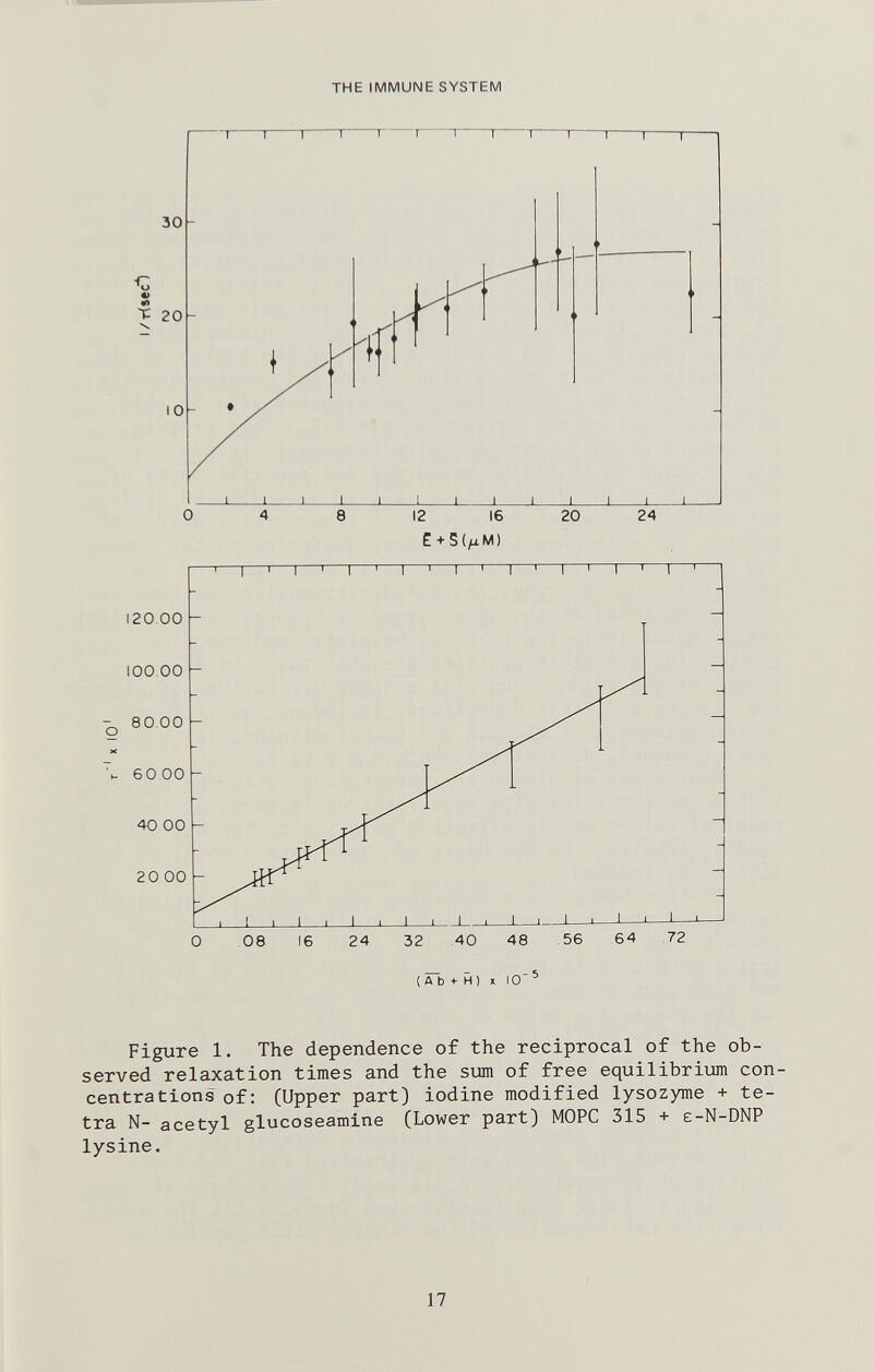THE IMMUNE SYSTEM ( A b + H) * 10 ^ Figure 1. The dependence of the reciprocal of the ob¬ served relaxation times and the sum of free equilibrium con¬ centrations of: (Upper part) iodine modified lysozyme + te¬ tra N- acetyl glucoseamine (Lower part) MOPC 315 + e-N-DNP lysine. 17