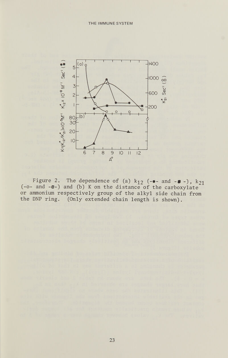 THE IMMUNE SYSTEM A° Figure 2. The dependence of (a) ki2 (-•- and -® , k2i (-0- and -0-) and (b) К on the distance of the carboxylate or ammonium respectively group of the alkyl side chain from the DNP ring. (Only extended chain length is shown). 23