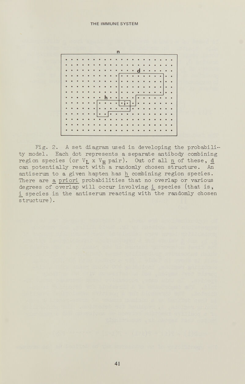 the immune system n d h Fig. 2. A set diagram used in developing the probabili¬ ty model. Each dot represents a separate antibody combining region species (or Vl x Vjj pair). Out of all ^ of these, d can potentially react with a randomly chosen structure. An antiserum to a given hapten has ^ combining region species. There are _a priori probabilities that no overlap or various degrees of overlap will occur involving species (that is, ^ species in the antiserum reacting with the randomly chosen structure ). 41