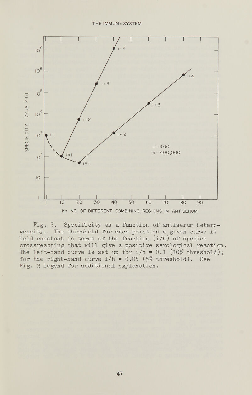 THE IMMUNE SYSTEM 10 20 30 40 50 60 70 80 90 h= NO. OF DIFFERENT COMBINING REGIONS IN ANTISERUM Fig. 5. Specificity as a fmction of antiserum hetero¬ geneity. The threshold for each point on a given curve is held constant in terms of the fraction (i/h) of species crossreacting that will give a positive serological reaction. The left-hand curve is set up for i/h = 0.1 {lO% threshold); for the rigiht-hand curve i/h = 0.05 (5^ threshold). See Fig. 3 legend for additional explanation. 47