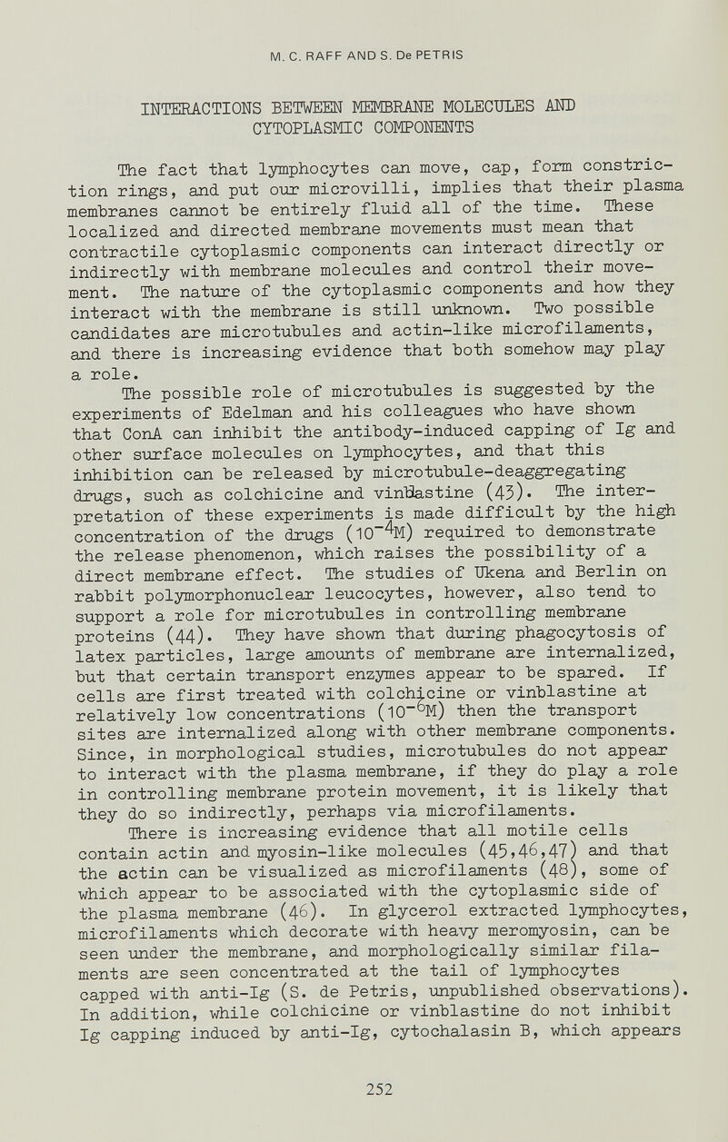 M. с. RAFF AND S. De PETRIS INTERACTIONS BETWEEN MEMBRANE MOLECULES АШ) CYTOPLASfflC COMPONENTS The fact that lymphocytes can move, cap, form constric¬ tion rings, and put oijr microvilli, implies that their plasma membranes cannot be entirely fluid all of the time. These localized and directed membrane movements must mean that contractile cytoplasmic components can interact directly or indirectly with membrane molecules and control their move¬ ment. The nature of the cytoplasmic components and how they interact with the membrane is still unknown. Two possible candidates are microtubules and actin-like microfilaments, and there is increasing evidence that both somehow may play a role. The possible role of microtubules is suggested by the experiments of Edelman and his colleagues who have shown that ConA can inhibit the antibody-indueed capping of Ig and other surface molecules on lymphocytes, and that this inhibition can be released by microtubule-deaggregating drugs, such as colchicine and vinTSastine (43)« The inter¬ pretation of these experiments is made difficult by the high concentration of the drugs (10%) required to demonstrate the release phenomenon, which raises the possibility of a direct membrane effect. The studies of Ukena and Berlin on rabbit polymorphonuclear leucocytes, however, also tend to support a role for microtubules in controlling membrane proteins (44)« They have shown that during phagocytosis of latex particles, large amounts of membrane are internalized, but that certain transport enzymes appear to be spared. If cells are first treated with colchicine or vinblastine at relatively low concentrations (10°M) then the transport sites are internalized along with other membrane components. Since, in morphological studies, microtubules do not appear to interact with the plasma membrane, if they do play a role in controlling membrane protein movement, it is likely that they do so indirectly, perhaps via microfilaments. There is increasing evidence that all motile cells contain actin and myosin-like molecules (45»46,47) and that the actin can be visualized as microfilaments (48)> some of which appear to be associated with the cytoplasmic side of the plasma membrane (46). In glycerol extracted lymphocytes, microfilaments which decorate with heavy meromyosin, can be seen under the membrane, and morphologically similar fila¬ ments are seen concentrated at the tail of lymphocytes capped with anti-Ig (S. de Pétris, unpublished observations). In addition, while colchicine or vinblastine do not inhibit Ig capping induced by anti-Ig, cytochalasin B, which appears 252