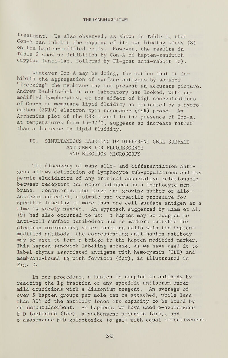THE IMMUNE SYSTEM treatment. We also observed, as shown in Table 1, that Con-A can inhibit the capping of its own binding sites (8) on the hapten-modified cells. However, the results in Table 2 show no inhibition by Con-A of hapten-sandwich capping (anti-lac, followed by Fl-goat anti-rabbit Ig). Whatever Con-A may be doing, the notion that it in¬ hibits the aggregation of surface antigens by somehow freezing the membrane may not present an accurate picture. Andrew Raubitschek in our laboratory has looked, with un¬ modified lymphocytes, at the effect of high concentrations of Con-A on membrane lipid fluidity as indicated by a hydro¬ carbon (2N19) electron spin resonance (ESR) probe. An Arrhenius plot of the ESR signal in the presence of Con-A, at temperatures from 15-37°C, suggests an increase rather than a decrease in lipid fluidity. II. SIMULTANEOUS LABELING OF DIFFERENT CELL SURFACE ANTIGENS FOR FLUORESCENCE AND ELECTRON MICROSCOPY The discovery of many alio- and differentiation anti¬ gens allows definition of lymphocyte sub-populations and may permit elucidation of any critical associative relationship between receptors and other antigens on a lymphocyte mem¬ brane. Considering the large and growing number of allo- antigens detected, a simple and versatile procedure for specific labeling of more than one cell surface antigen at a time is sorely needed. An approach suggested by Lamm et al. (9) had also occurred to us: a hapten may be coupled to anti-cell surface antibodies and to markers suitable for electron microscopy; after labeling cells with the hapten- modif ied antibody, the corresponding anti-hapten antibody may be used to form a bridge to the hapten-modified marker. This hapten-sandwich labeling scheme, as we have used it to label thymus associated antigens with hemocyanin (KLH) and membrane-bound Ig with ferritin (fer), is illustrated in Fig. 2. In our procedure, a hapten is coupled to antibody by reacting the Ig fraction of any specific antiserum under mild conditions with a diazonium reagent. An average of over 5 hapten groups per mole can be attached, while less than 30% of the antibody loses its capacity to be bound by an immunoadsorbent. As haptens, we have used p-azobenzene 3-D lactoside (lac), p-azobenzene arsonate (ars), and o-azobenzene 3-D galactoside (o-gal) with equal effectiveness. 265