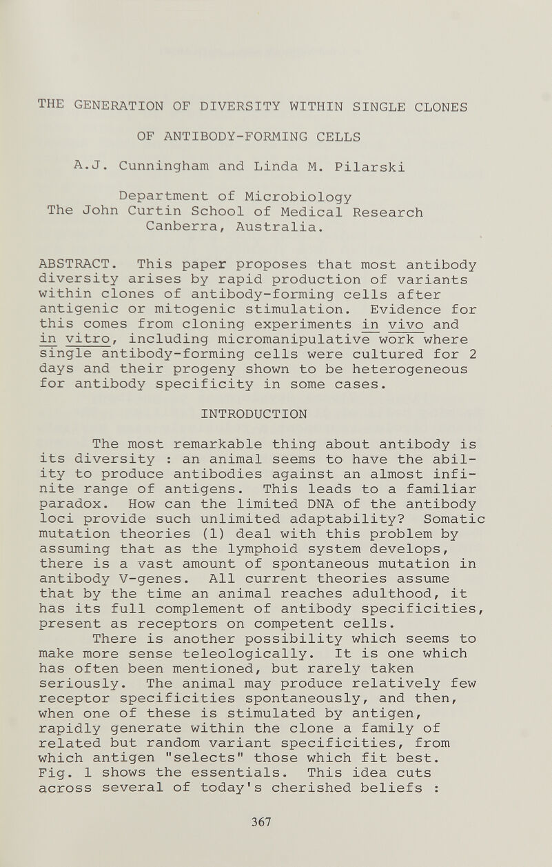 THE GENERATION OF DIVERSITY WITHIN SINGLE CLONES OF ANTIBODY-FORMING CELLS A.J. Cunningham and Linda M. Pilarski Department of Microbiology The John Curtin School of Medical Research Canberra, Australia. ABSTRACT. This paper proposes that most antibody diversity arises by rapid production of variants within clones of antibody-forming cells after antigenic or mitogenic stimulation. Evidence for this comes from cloning experiments ^ vivo and in vitro, including micromanipulative work where single antibody-forming cells were cultured for 2 days and their progeny shown to be heterogeneous for antibody specificity in some cases. INTRODUCTION The most remarkable thing about antibody is its diversity : an animal seems to have the abil¬ ity to produce antibodies against an almost infi¬ nite range of antigens. This leads to a familiar paradox. How can the limited DNA of the antibody loci provide such unlimited adaptability? Somatic mutation theories (1) deal with this problem by assuming that as the lymphoid system develops, there is a vast amount of spontaneous mutation in antibody V-genes. All current theories assume that by the time an animal reaches adulthood, it has its full complement of antibody specificities, present as receptors on competent cells. There is another possibility which seems to make more sense teleologically. It is one which has often been mentioned, but rarely taken seriously. The animal may produce relatively few receptor specificities spontaneously, and then, when one of these is stimulated by antigen, rapidly generate within the clone a family of related but random variant specificities, from which antigen selects those which fit best. Fig. 1 shows the essentials. This idea cuts across several of today's cherished beliefs : 367
