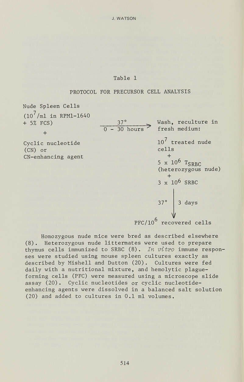 J. WATSON Table 1 PROTOCOL FOR PRECURSOR CELL ANALYSIS Nude Spleen Cells (10^/ml in RPMl-1640 + 5% FCS) 37' + 0-30 hours Cyclic nucleotide (CN) or CN-enhancing agent Wash, reculture in fresh medium: 10^ treated nude cells + 5 X 10^ TSRBC (heterozygous nude) + 3 X 10^ SRBC 37' .6 i 3 days PFC/IO recovered cells Homozygous nude mice were bred as described elsewhere (8). Heterozygous nude littermates were used to prepare thymus cells immunized to SRBC (8) . In vi-tvo immune respon¬ ses were studied using mouse spleen cultures exactly as described by Mishell and Button (20). Cultures were fed daily with a nutritional mixture, and hemolytic plague- forming cells (PFC) were measured using a microscope slide assay (20). Cyclic nucleotides or cyclic nucleotide- enhancing agents were dissolved in a balanced salt solution (20) and added to cultures in 0.1 ml volumes. 514