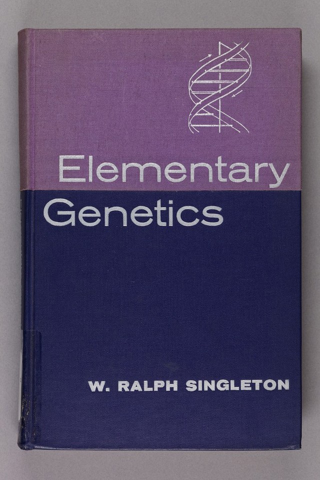 No text description is available for this image