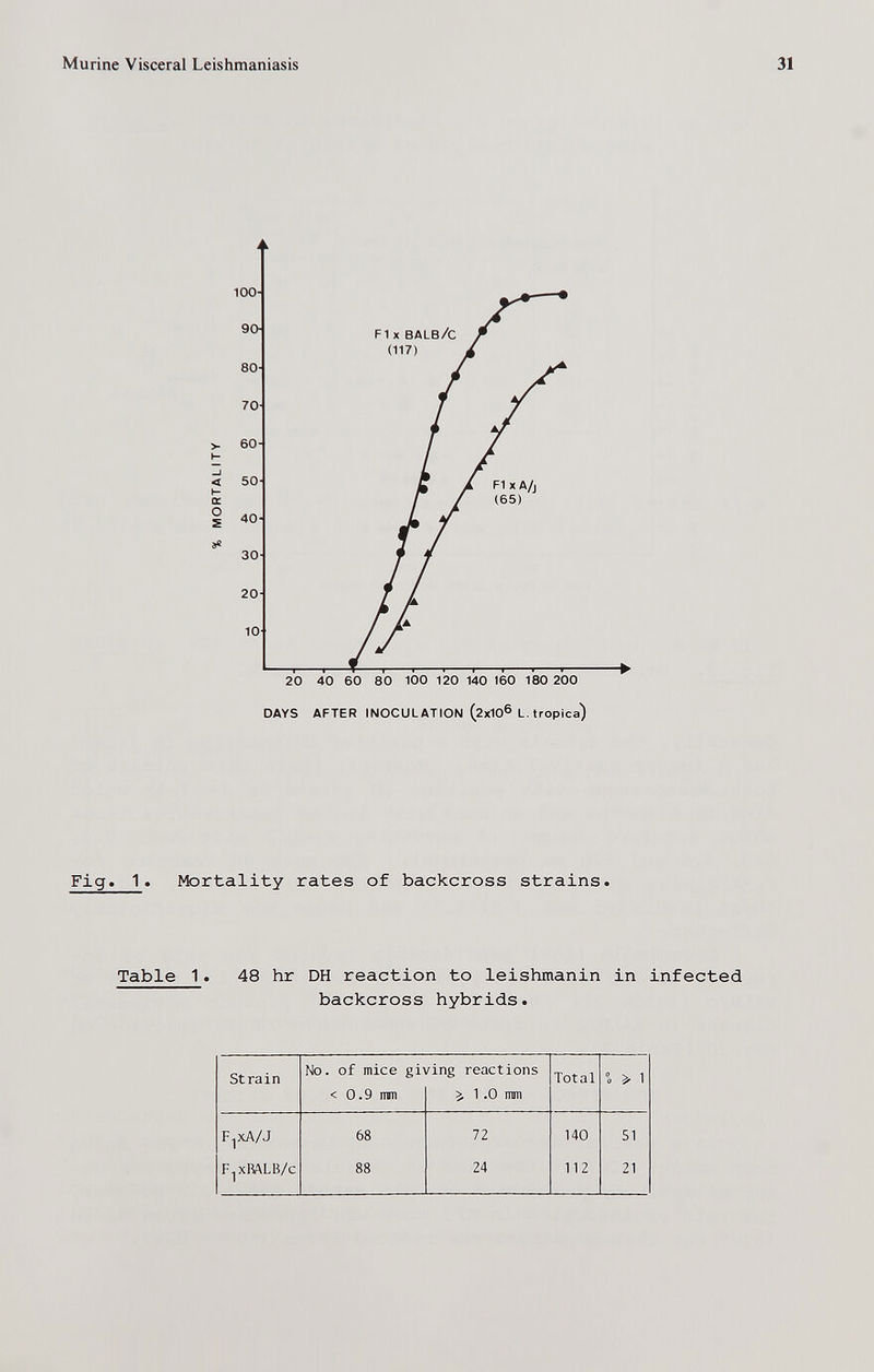 Murine Visceral Leishmaniasis DAYS AFTER INOCULATION (2x10® L. tropica) Fig. 1. Mortality rates of backcross strains. Table 1. 48 hr DH reaction to leishmanin in infected backcross hybrids.