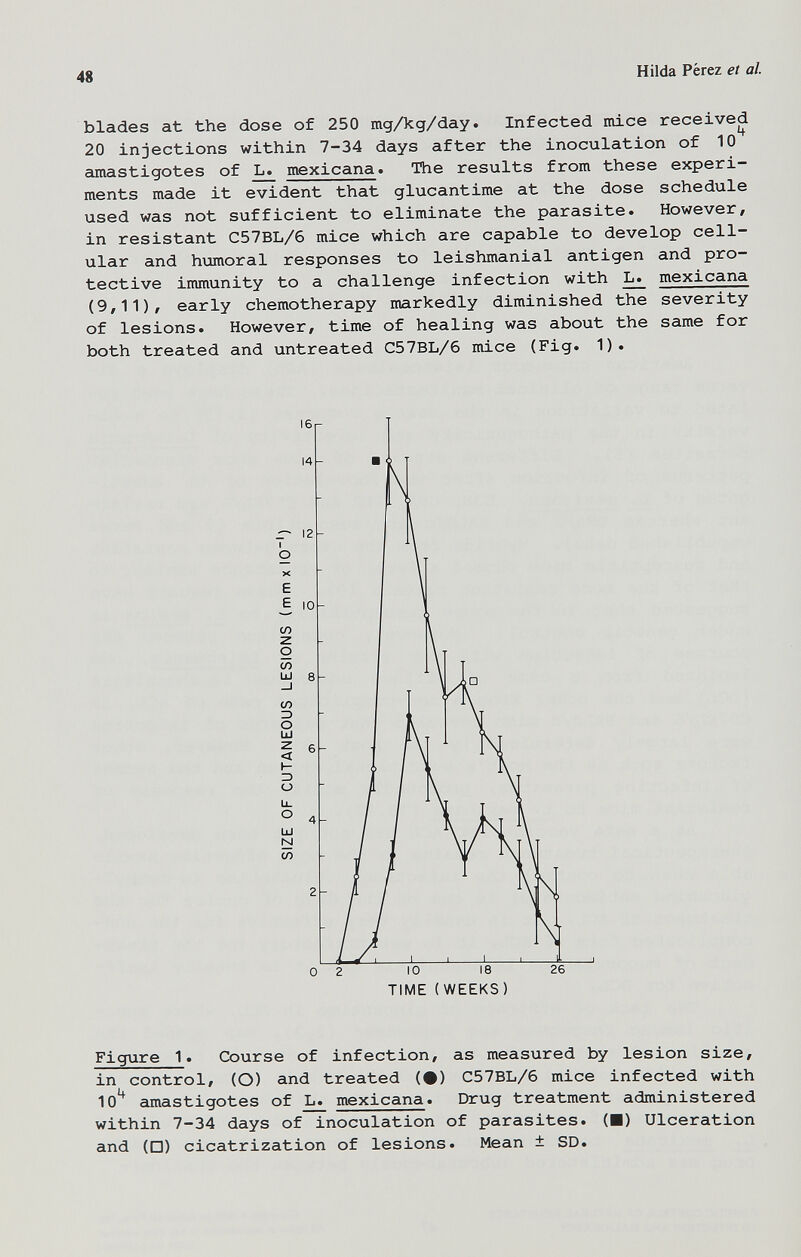 48 Hilda Pérez et al. blades at the dose of 250 mg/kg/day. Infected mice received 20 injections within 7-34 days after the inoculation of 10 amastigotes of ^ mexicana» The results from these experi¬ ments made it evident that glucantime at the dose schedule used was not sufficient to eliminate the parasite. However, in resistant C57BL/6 mice which are capable to develop cell¬ ular and humoral responses to leishmanial antigen and pro¬ tective immunity to a challenge infection with ^ mexicana (9,11), early chemotherapy markedly diminished the severity of lesions. However, time of healing was about the same for both treated and untreated C57BL/6 mice (Fig. 1). Figure 1. Course of infection, as measured by lesion size, in control, (O) and treated (•) C57BL/6 mice infected with 10 amastigotes of L. mexicana. Drug treatment administered within 7-34 days of inoculation of parasites. (■) Ulceration and (□) cicatrization of lesions. Mean ± SD.