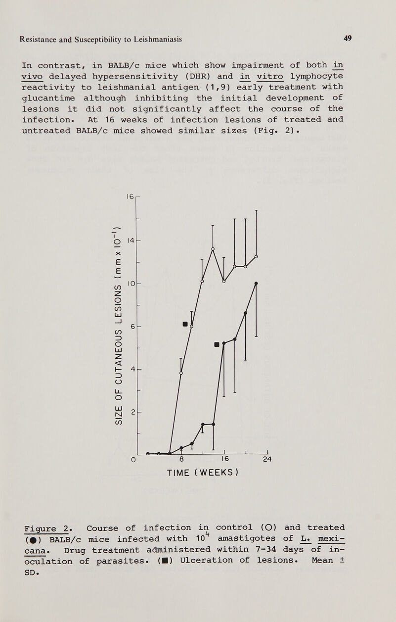 Resistance and Susceptibility to Leishmaniasis 49 In contrast, in BALB/c mice which show impairment of both in vivo delayed hypersensitivity (DHR) and vitro lymphocyte reactivity to leishmanial antigen (1,9) early treatment with glucantime although inhibiting the initial development of lesions it did not significantly affect the course of the infection. At 16 weeks of infection lesions of treated and untreated BALB/c mice showed similar sizes (Fig. 2). Figure 2. Course of infection in control (O) and treated (#) BALB/c mice infected with 10*^ amastigotes of ^ mexi- cana. Drug treatment administered within 7-34 days of in¬ oculation of parasites. (■) Ulceration of lesions. Mean ± SD.