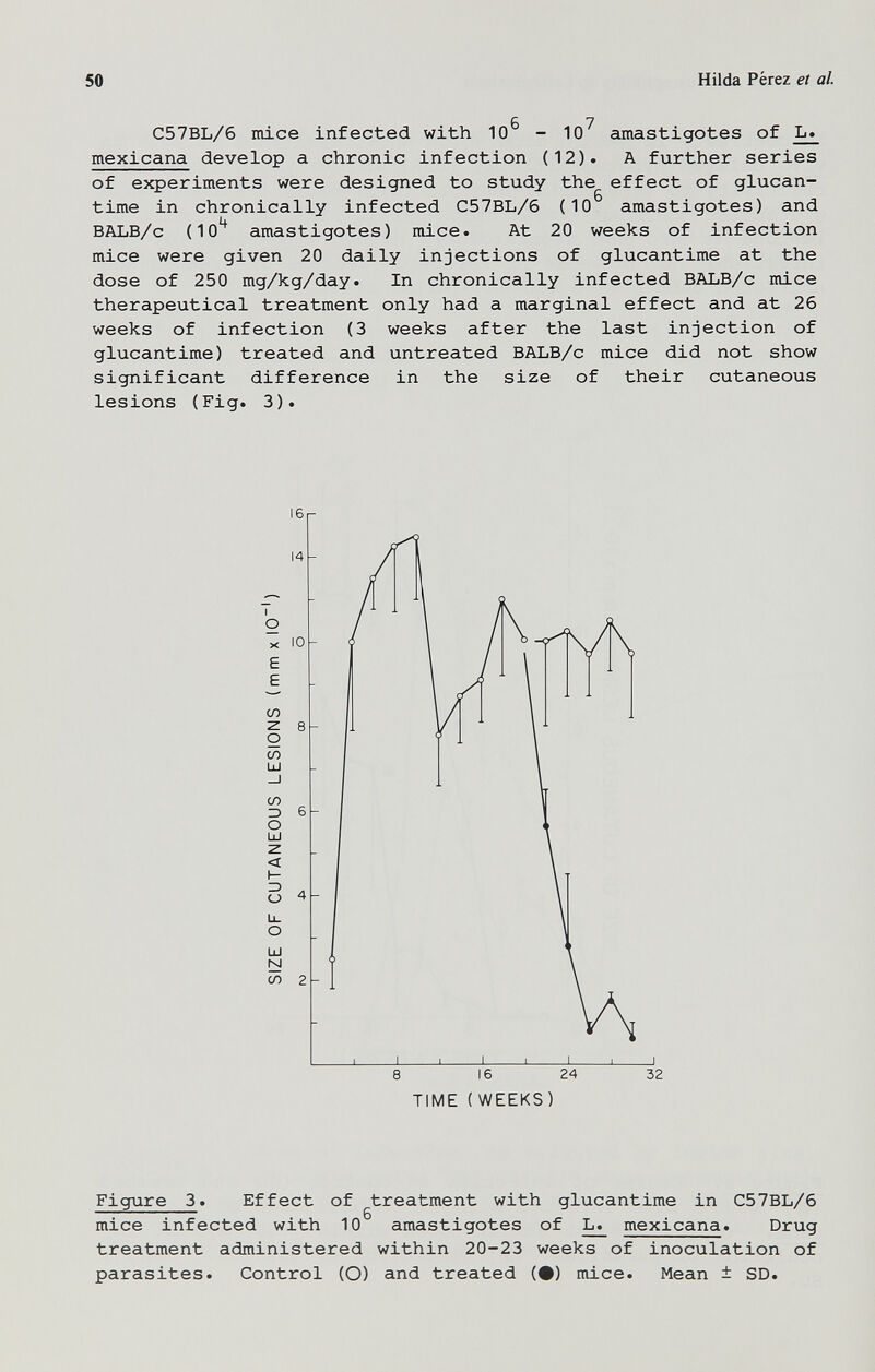 50 Hilda Pérez et al. С *7 C57BL/6 mice infected with 10 - 10 amastigotes of L« mexicana develop a chronic infection (12). A further series of experiments were designed to study the effect of glucan- time in chronically infected C57BL/6 (10 amastigotes) and BALB/c (10^ amastigotes) mice. At 20 weeks of infection mice were given 20 daily injections of glucantime at the dose of 250 mg/kg/day. In chronically infected BALB/c mice therapeutical treatment only had a marginal effect and at 26 weeks of infection (3 weeks after the last injection of glucantime) treated and untreated BALB/c mice did not show significant difference in the size of their cutaneous lesions (Fig. 3). 16 14 X E E сл z о to ÜJ сл о ш Z3 (_) ш M сл 10 8 16 24 TIME ( WEEKS) 32 Figure 3. Effect of treatment with glucantime in C57BL/6 mice infected with 10 amastigotes of ^ mexicana. Drug treatment administered within 20-23 weeks of inoculation of parasites. Control (O) and treated (•) mice. Mean ± SD.