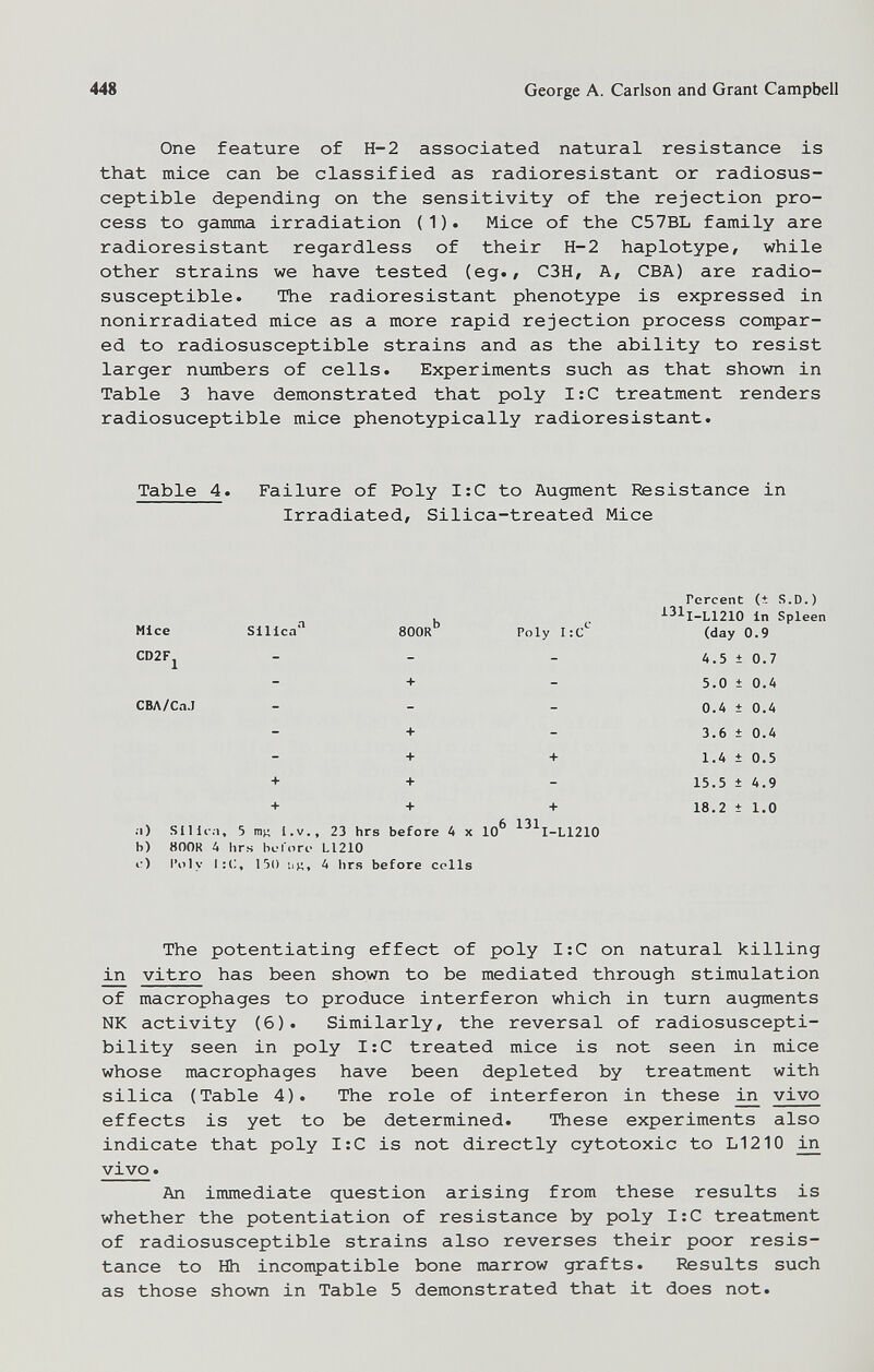448 George A. Carlson and Grant Campbell One feature of H-2 associated natural resistance is that mice can be classified as radioresistant or radiosus- ceptible depending on the sensitivity of the rejection pro¬ cess to gamma irradiation (1). Mice of the C57BL family are radioresistant regardless of their H-2 haplotype, while other strains we have tested (eg., C3H, A, CBA) are radio- susceptible. The radioresistant phenotype is expressed in nonirradiated mice as a more rapid rejection process compar¬ ed to radiosusceptible strains and as the ability to resist larger numbers of cells. Experiments such as that shown in Table 3 have demonstrated that poly I:C treatment renders radiosuceptible mice phenotypically radioresistant. Table 4. Failure of Poly I;C to Augment Resistance in Irradiated, Silica-treated Mice Mice CD2Fj СВЛ/СаЛ Silica'' + + 800R Poly I:C + + + + + + 23 hrs before 4 x 10^ ^^^I-L1210 a) SII ira, 5 mj; l.v b) 800K 4 hrs before L1210 I') I'oly lío A hrs before cells Percent (t S.D.) ^31i-l1210 in Spleen (day 0.9 4.5 ± 0.7 5.0 ± 0.4 0.4 ± 0.4 3.6 ± 0.4 1.4 ± 0.5 15.5 ± 4.9 18.2 ± 1.0 The potentiating effect of poly I:C on natural killing in vitro has been shown to be mediated through stimulation of macrophages to produce interferon which in turn augments NK activity (6). Similarly, the reversal of radiosuscepti- bility seen in poly I:C treated mice is not seen in mice whose macrophages have been depleted by treatment with silica (Table 4). The role of interferon in these ^ vivo effects is yet to be determined. These experiments also indicate that poly I:C is not directly cytotoxic to Li210 in vivo. An immediate question arising from these results is whether the potentiation of resistance by poly I;C treatment of radiosusceptible strains also reverses their poor resis¬ tance to ЫЬ incompatible bone marrow grafts. Results such as those shown in Table 5 demonstrated that it does not.