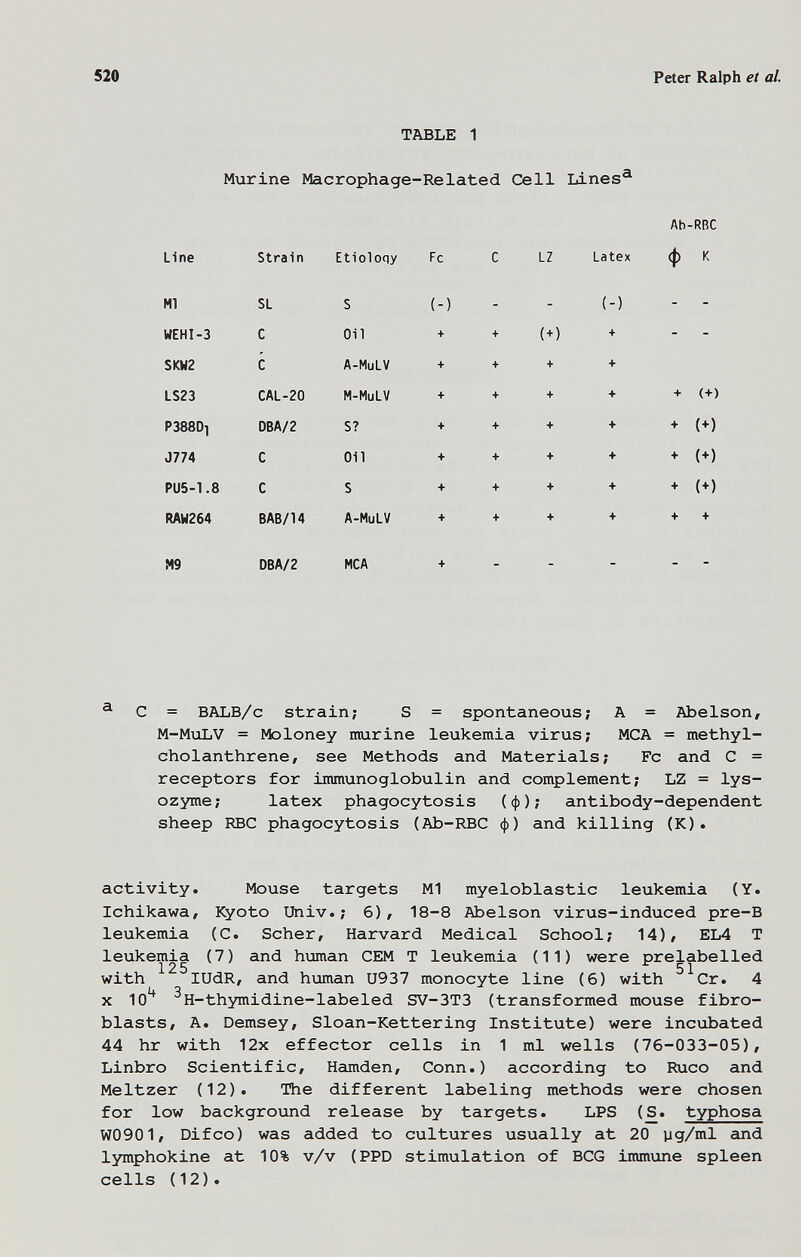 520 Peter Ralph et al. TABLE 1 ^ С = BALB/c strain; S = spontaneous; A = Abelson, M-MxiLV = Moloney murine leukemia virus; MCA = methyl- cholanthrene, see Methods and Materials; Fc and С = receptors for immunoglobulin and complement; LZ = lys- ozyme; latex phagocytosis (ф); antibody-dependent sheep RBC phagocytosis (Ab-RBC ф) and killing (K). activity. Mouse targets Ml myeloblastic leukemia (Y. Ichikawa, Kyoto Univ.; 6)/ 18-8 Abelson virus-induced pre-B leukemia (C. Scher, Harvard Medical School; 14), EL4 T leukemia (7) and human СЕМ T leukemia (11) were prelabelled with lUdR, and hxjman U937 monocyte line (6) with Cr. 4 X lo'^ ^H-thymidine-labeled SV-3T3 (transformed mouse fibro¬ blasts, A. Demsey, Sloan-Kettering Institute) were incubated 44 hr with 12x effector cells in 1 ml wells (76-033-05), Linbro Scientific, Hamden, Conn.) according to Ruco and Meitzer (12). The different labeling methods were chosen for low background release by targets. LPS (£. typhosa W0901, Difco) was added to cultures usually at 20 yg/ml and lymphokine at 10% v/v (PPD stimulation of BCG immune spleen cells (12).