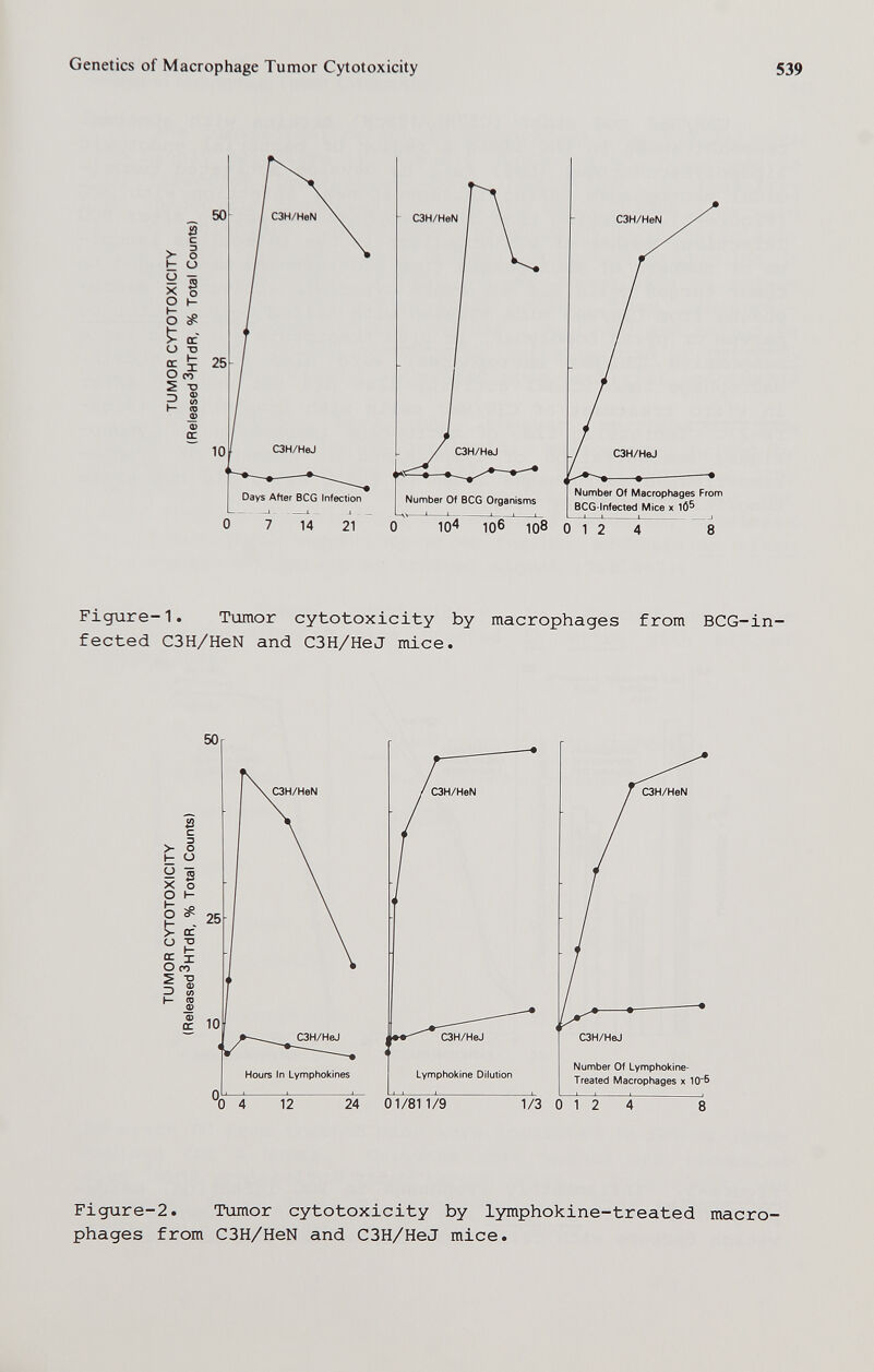 Genetics of Macrophage Tumor Cytotoxicity 539 Days After BCG Infection 7 14 21 C3H/HeN Number Of BCG Organisms Number Of Macrophages From BCG-lnfected Mice x l6^ 106 108 0 1 2 4 Figure-1. Tviitior cytotoxicity by macrophages from BCG-in- fected C3H/HeN and C3H/HeJ mice. C3H/HeN C3H/HeJ Lymphokine Dilution C3H/HeJ Number Of Lymphokine- Treated Macrophages x 10^ 01/811/9 1/3 0 12 Figure-2. Tumor cytotoxicity by lymphokine-treated macro¬ phages from C3H/HeN and C3H/HeJ mice.