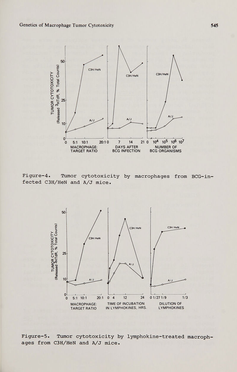 Genetics of Macrophage Tumor Cytotoxicity 545 5:1 10:1 20:10 MACROPHAGE: TARGET RATIO 7 14 2 DAYS AFTER BCG INFECTION 10^ 105 io6 10^ NUMBER OF BCG ORGANISMS Figure-4. Tumor cytotoxicity by macrophages from BCG-in- fected C3H/HeN and A/J mice. С 3 >- О t ^ От X о OK о г' ^■g г® (— to œ ф ir MACROPHAGE: TARGET RATIO TIME OF INCUBATION IN LYMPHOKINES. HRS. DILUTION OF LYMPHOKINES Figure-5. Tumor cytotoxicity by lymphokine-treated macroph¬ ages from C3H/HeN and A/J mice.