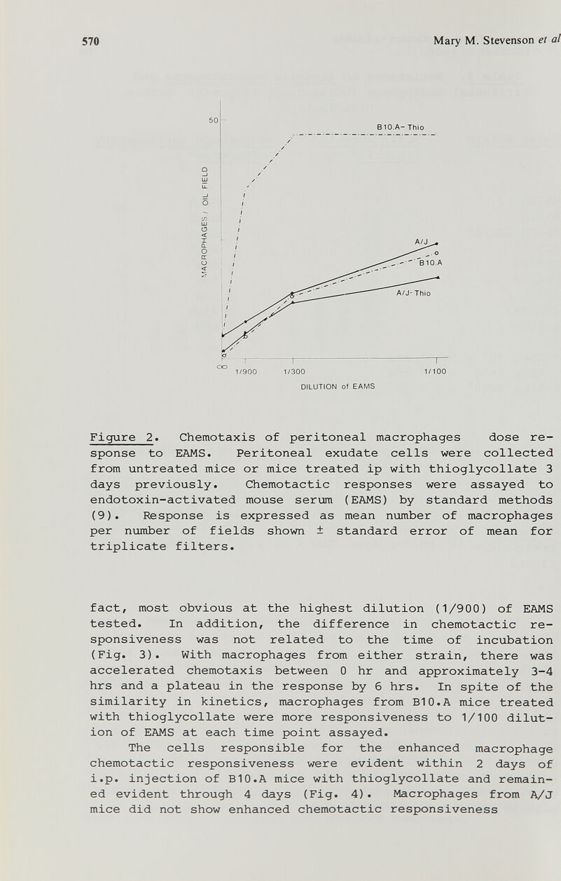 570 Mary M. Stevenson et al Figure 2. Chemotaxis of peritoneal macrophages dose re¬ sponse to EAMS. Peritoneal exudate cells were collected from untreated mice or mice treated ip with thioglycollate 3 days previously. Chemotactic responses were assayed to endotoxin-activated mouse serum (EAMS) by standard methods (9). Response is expressed as mean number of macrophages per number of fields shown ± standard error of mean for triplicate filters. fact, most obvious at the highest dilution (1/900) of EAMS tested. In addition, the difference in chemotactic re¬ sponsiveness was not related to the time of incubation (Fig. 3). With macrophages from either strain, there was accelerated Chemotaxis between 0 hr and approximately 3-4 hrs and a plateau in the response by 6 hrs. In spite of the similarity in kinetics, macrophages from BIO.A mice treated with thioglycollate were more responsiveness to 1/100 dilut¬ ion of EAMS at each time point assayed. The cells responsible for the enhanced macrophage chemotactic responsiveness were evident within 2 days of i.p. injection of BIO.A mice with thioglycollate and remain¬ ed evident through 4 days (Fig. 4) . Macrophages from A/J mice did not show enhanced chemotactic responsiveness