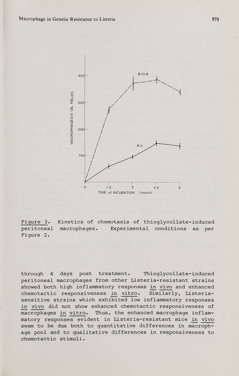 Macrophage in Genetic Resistance to Listeria 571 400- co Û CO Ш 0 < 1 Û. о cc (J < 300- 200- B10.A / / /1-- / / A/J 100- I r~ 1.5 3 TIME of INCUBATION I 4.5 ( hours) Figure 3» Kinetics of Chemotaxis of thioglycollate-induced peritoneal macrophages. Experimental conditions as per Figure 2. through 4 days post treatment. Thioglycollate-induced peritoneal macrophages from other Listeria-resistant strains showed both high inflammatory responses 3£i vivo and enhanced chemotactic responsiveness vitro. Similarly, Listeria- sensitive strains which exhibited low inflammatory responses in vivo did not show enhanced chemotactic responsiveness of macrophages in vitro. Thus, the enhanced macrophage inflam¬ matory responses evident in Listeria-resistant mice in vivo seem to be due both to quantitative differences in macroph¬ age pool and to qualitative differences in responsiveness to chemotactic stimuli.