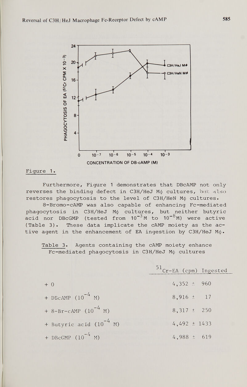 Reversal of СЗН/HeJ Macrophage Fc-Receptor Defect by cAMP 585 24 гГ о 20 X s о. <-> 16 ь. о á 12 u. О (Л (Л о 8 О 0 < 4 1 а. Figure 1. Furthermore, Figure 1 demonstrates that DBcAMP not only- reverses the binding defect in C3H/HeJ Мф cultures, bur, also restores phagocytosis to the level of C3H/HeN Мф cultures. 8-Bromo-cAMP was also capable of enhancing Fc-mediated phagocytosis in C3H/HeJ Мф cultures, but neither butyric acid nor DBcGMP (tested from 10^ M to 10~^M) were active (Table 3). These data implicate the cAMP moiety as the ac¬ tive agent in the enhancement of EA ingestion by C3H/HeJ Мф. Table 3. Agents containing the cAMP moiety enhance Fc-mediated phagocytosis in C3H/HeJ Мф cultures ^^Cr-EA (cpm) Ingested CONCENTRATION OF DB-cAMP (M)