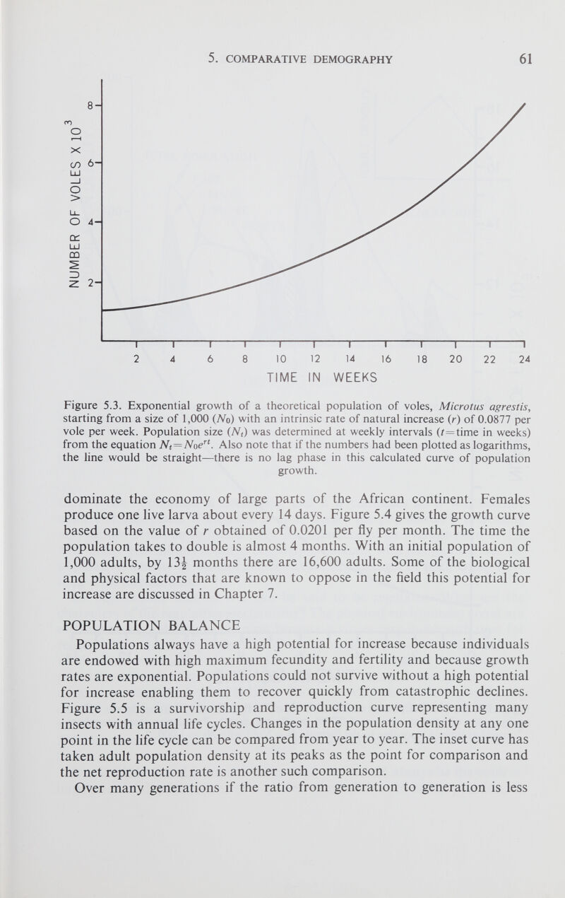 Figure 5.3. Exponential growth of a theoretical population of voles, Microtus agrestis, starting from a size of 1,000 (No) with an intrinsic rate of natural increase ( r) of 0.0877 per vole per week. Population size (N t ) was determined at weekly intervals (/=time in weeks) from the equation N t = Noe rt . Also note that if the numbers had been plotted as logarithms, the line would be straight—there is no lag phase in this calculated curve of population growth. dominate the economy of large parts of the African continent. Females produce one live larva about every 14 days. Figure 5.4 gives the growth curve based on the value of r obtained of 0.0201 per fly per month. The time the population takes to double is almost 4 months. With an initial population of 1,000 adults, by 13£ months there are 16,600 adults. Some of the biological and physical factors that are known to oppose in the field this potential for increase are discussed in Chapter 7. POPULATION BALANCE Populations always have a high potential for increase because individuals are endowed with high maximum fecundity and fertility and because growth rates are exponential. Populations could not survive without a high potential for increase enabling them to recover quickly from catastrophic declines. Figure 5.5 is a survivorship and reproduction curve representing many insects with annual life cycles. Changes in the population density at any one point in the life cycle can be compared from year to year. The inset curve has taken adult population density at its peaks as the point for comparison and the net reproduction rate is another such comparison. Over many generations if the ratio from generation to generation is less