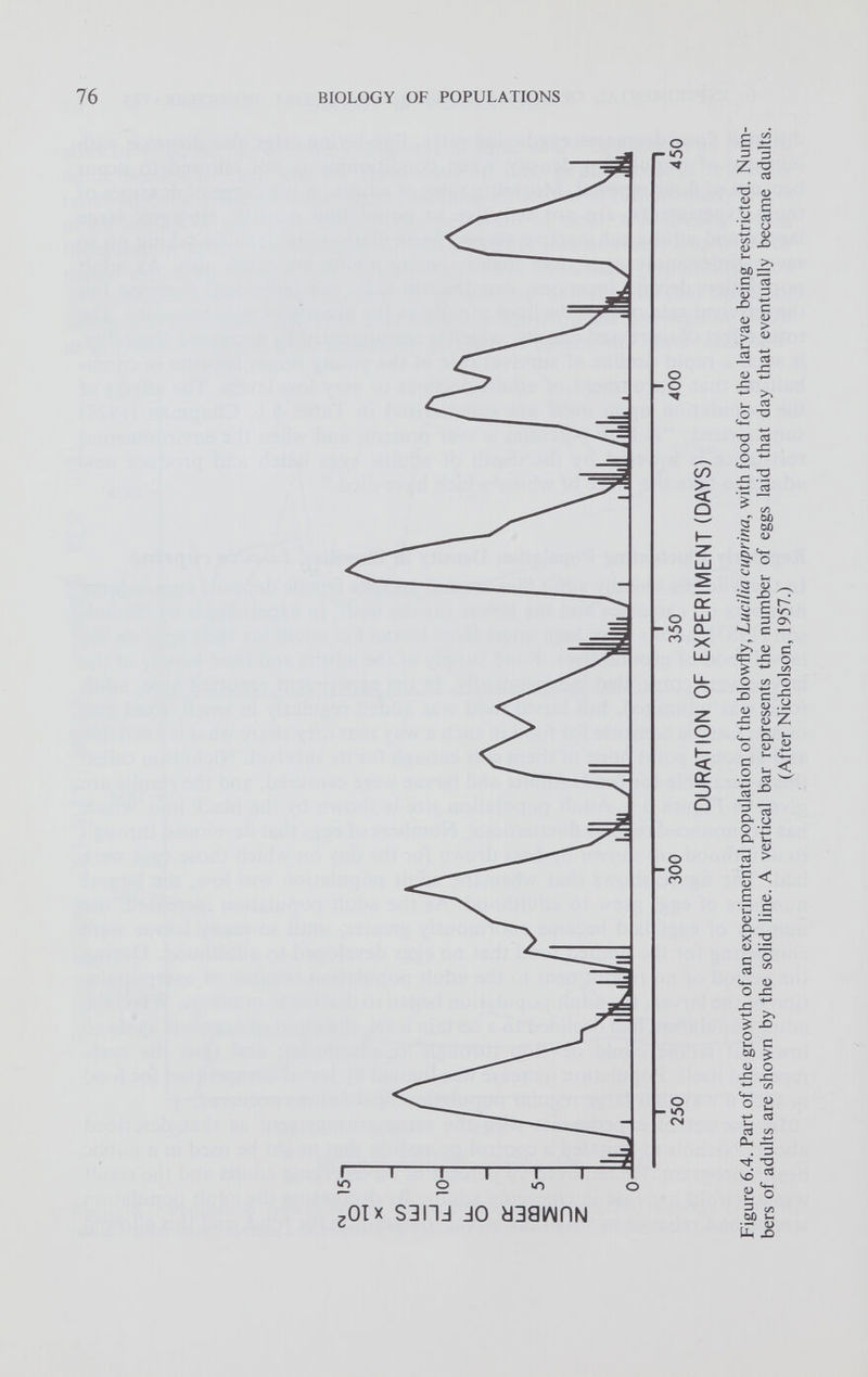 -J ON 250 300 350 400 450 DURATION OF EXPERIMENT (DAYS) Figure 6.4. Part of the growth of an experimental population of the blowfly, Luci/ia cuprina , with food for the larvae being restricted. Num bers of adults are shown by the solid line. A vertical bar represents the number of eggs laid that day that eventually became adults. (After Nicholson, 1957.) BIOLOGY OF POPULATIONS