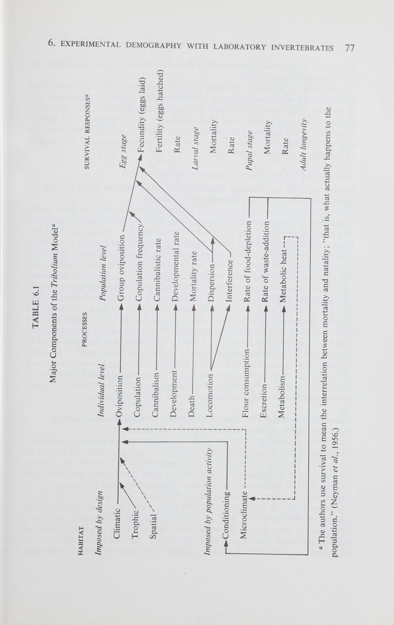 TABLE 6.1 Major Components of the Tribolium Model“ Os HABITAT Imposed by design PROCESSES SURVIVAL RESPONSES« Individual level Population level « The authors use survival to mean the interrelation between mortality and natality; “that is, what actually happens to the population.” (Neyman et al., 1956.) EXPERIMENTAL DEMOGRAPHY WITH LABORATORY INVERTEBRATES 77