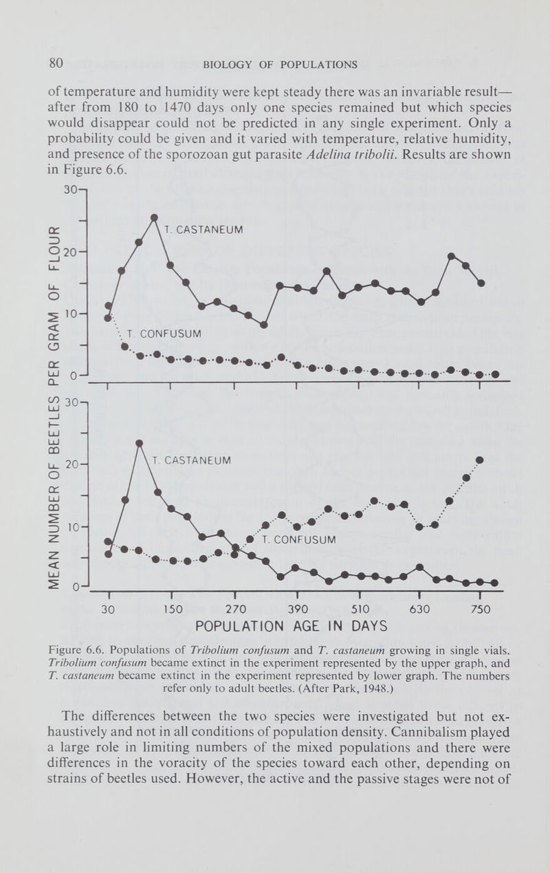 of temperature and humidity were kept steady there was an invariable result— after from 180 to 1470 days only one species remained but which species would disappear could not be predicted in any single experiment. Only a probability could be given and it varied with temperature, relative humidity, and presence of the sporozoan gut parasite Adelina tribolii. Results are shown in Figure 6.6. Figure 6 . 6 . Populations of Tribolium confusum and T. castaneum growing in single vials. Tribolium confusum became extinct in the experiment represented by the upper graph, and T. castaneum became extinct in the experiment represented by lower graph. The numbers refer only to adult beetles. (After Park, 1948.) The differences between the two species were investigated but not ex haustively and not in all conditions of population density. Cannibalism played a large role in limiting numbers of the mixed populations and there were differences in the voracity of the species toward each other, depending on strains of beetles used. However, the active and the passive stages were not of