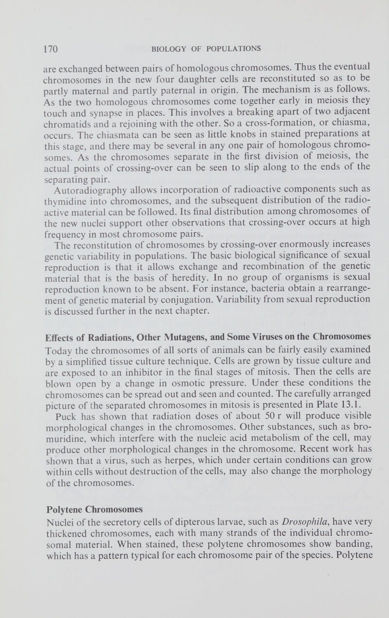 are exchanged between pairs of homologous chromosomes. Thus the eventual chromosomes in the new four daughter cells are reconstituted so as to be partly maternal and partly paternal in origin. The mechanism is as follows. As the two homologous chromosomes come together early in meiosis they touch and synapse in places. This involves a breaking apart of two adjacent chromatids and a rejoining with the other. So a cross-formation, or chiasma, occurs. The chiasmata can be seen as little knobs in stained preparations at this stage, and there may be several in any one pair of homologous chromo somes. As the chromosomes separate in the first division of meiosis, the actual points of crossing-over can be seen to slip along to the ends of the separating pair. Autoradiography allows incorporation of radioactive components such as thymidine into chromosomes, and the subsequent distribution of the radio active material can be followed. Its final distribution among chromosomes of the new nuclei support other observations that crossing-over occurs at high frequency in most chromosome pairs. The reconstitution of chromosomes by crossing-over enormously increases genetic variability in populations. The basic biological significance of sexual reproduction is that it allows exchange and recombination of the genetic material that is the basis of heredity. In no group of organisms is sexual reproduction known to be absent. For instance, bacteria obtain a rearrange ment of genetic material by conjugation. Variability from sexual reproduction is discussed further in the next chapter. Effects of Radiations, Other Mutagens, and Some Viruses on the Chromosomes Today the chromosomes of all sorts of animals can be fairly easily examined by a simplified tissue culture technique. Cells are grown by tissue culture and are exposed to an inhibitor in the final stages of mitosis. Then the cells are blown open by a change in osmotic pressure. Under these conditions the chromosomes can be spread out and seen and counted. The carefully arranged picture of the separated chromosomes in mitosis is presented in Plate 13.1. Puck has shown that radiation doses of about 50 r will produce visible morphological changes in the chromosomes. Other substances, such as bro- muridine, which interfere with the nucleic acid metabolism of the cell, may produce other morphological changes in the chromosome. Recent work has shown that a virus, such as herpes, which under certain conditions can grow within cells without destruction of the cells, may also change the morphology of the chromosomes. Polytene Chromosomes Nuclei of the secretory cells of dipterous larvae, such as Drosophila , have very thickened chromosomes, each with many strands of the individual chromo somal material. When stained, these polytene chromosomes show banding, which has a pattern typical for each chromosome pair of the species. Polytene