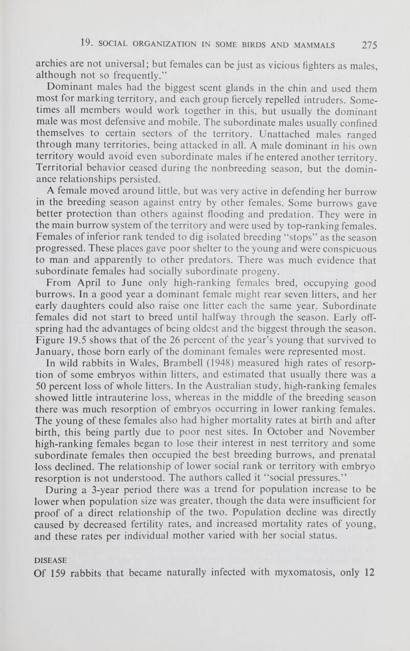 archies are not universal; but females can be just as vicious fighters as males, although not so frequently.” Dominant males had the biggest scent glands in the chin and used them most for marking territory, and each group fiercely repelled intruders. Some times all members would work together in this, but usually the dominant male was most defensive and mobile. The subordinate males usually confined themselves to certain sectors of the territory. Unattached males ranged through many territories, being attacked in all. A male dominant in his own territory would avoid even subordinate males if he entered another territory. Territorial behavior ceased during the nonbreeding season, but the domin ance relationships persisted. A female moved around little, but was very active in defending her burrow in the breeding season against entry by other females. Some burrows gave better protection than others against flooding and predation. They were in the main burrow system of the territory and were used by top-ranking females. Females of inferior rank tended to dig isolated breeding “stops” as the season progressed. These places gave poor shelter to the young and were conspicuous to man and apparently to other predators. There was much evidence that subordinate females had socially subordinate progeny. From April to June only high-ranking females bred, occupying good burrows. In a good year a dominant female might rear seven litters, and her early daughters could also raise one litter each the same year, Subordinate females did not start to breed until halfway through the season. Early off spring had the advantages of being oldest and the biggest through the season. Figure 19.5 shows that of the 26 percent of the year’s young that survived to January, those born early of the dominant females were represented most. In wild rabbits in Wales, Brambell (1948) measured high rates of resorp tion of some embryos within litters, and estimated that usually there was a 50 percent loss of whole litters. In the Australian study, high-ranking females showed little intrauterine loss, whereas in the middle of the breeding season there was much resorption of embryos occurring in lower ranking females. The young of these females also had higher mortality rates at birth and after birth, this being partly due to poor nest sites. In October and November high-ranking females began to lose their interest in nest territory and some subordinate females then occupied the best breeding burrows, and prenatal loss declined. The relationship of lower social rank or territory with embryo resorption is not understood. The authors called it “social pressures.” During a 3-year period there was a trend for population increase to be lower when population size was greater, though the data were insufficient for proof of a direct relationship of the two. Population decline was directly caused by decreased fertility rates, and increased mortality rates of young, and these rates per individual mother varied with her social status. DISEASE Of 159 rabbits that became naturally infected with myxomatosis, only 12