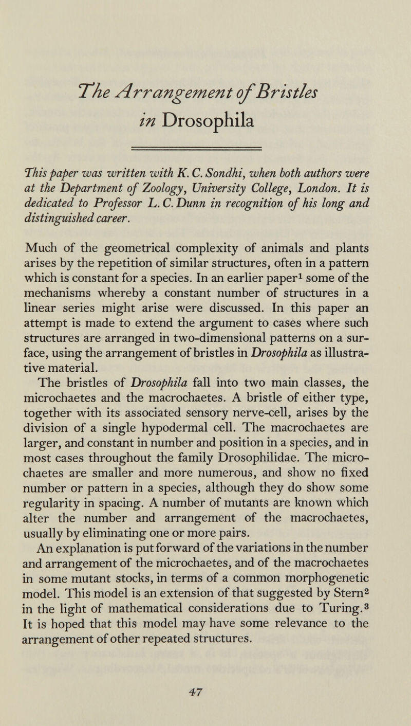 The Arrangement of Bristles in Drosophila This paper was written with K. C. Sondhi, when both authors were at the Department of Zoology, University College, hondon. It is dedicated to Professor L. C. Dunn in recognition of his long and distinguished career. Much of the geometrical complexity of animals and plants arises by the repetition of similar structures, often in a pattern which is constant for a species. In an earlier paperi some of the mechanisms whereby a constant number of structures in a linear series might arise were discussed. In this paper an attempt is made to extend the argument to cases where such structures are arranged in two-dimensional patterns on a sur¬ face, using the arrangement of bristles in Drosophila as illustra¬ tive material. The bristles of Drosophila fall into two main classes, the microchaetes and the macrochaetes. A bristle of either type, together with its associated sensory пегуеч:е11, arises by the division of a single hypodermal cell. The macrochaetes are larger, and constant in number and position in a species, and in most cases throughout the family Drosophilidae. The micro¬ chaetes are smaller and more numerous, and show no fixed number or pattern in a species, although they do show some regularity in spacing. A number of mutants are known which alter the number and arrangement of the macrochaetes, usually by eliminating one or more pairs. An explanation is put forward of the variations in the number and arrangement of the microchaetes, and of the macrochaetes in some mutant stocks, in terms of a common morphogenetic model. This model is an extension of that suggested by Stem^ in the light of mathematical considerations due to Turing, з It is hoped that this model may have some relevance to the arrangement of other repeated structures. 47