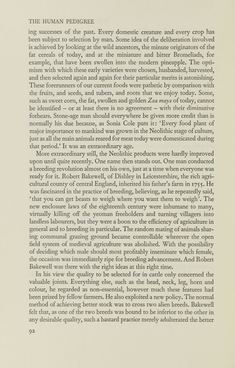 THE HUMAN PEDIGREE ing successes of the past. Every domestic creature and every crop has been subject to selection by man. Some idea of the deliberation involved is achieved by looking at the wild ancestors, the minute originators of the fat cereals of today, and at the miniature and bitter Bromeliads, for example, that have been swollen into the modern pineapple. The opti¬ mism with which these early varieties were chosen, husbanded, harvested, and then selected again and again for their particular merits is astonishing. These forerunners of our current foods were pathetic by comparison with the fruits, and seeds, and tubers, and roots that we enjoy today. Some, such as sweet corn, the fat, swollen and golden Zea mays of today, cannot be identified - or at least there is no agreement - with their diminutive forbears. Stone-age man should everywhere be given more credit than is normally his due because, as Sonia Cole puts it: 'Every food plant of major importance to mankind was grown in the Neolithic stage of culture, just as all the main animals reared for meat today were domesticated during that period.' It was an extraordinary age. More extraordinary still, the Neolithic products were hardly improved upon until quite recently. One name then stands out. One man conducted a breeding revolution almost on his own, just at a time when everyone was ready for it. Robert Bakewell, of Dishley in Leicestershire, the rich agri¬ cultural county of central England, inherited his father's farm in 1755. was fascinated in the practice of breeding, believing, as he repeatedly said, 'that you can get beasts to weigh where you want them to weigh'. The new enclosure laws of the eighteenth century were inhumane to many, virtually killing off the yeoman freeholders and turning villagers into landless labourers, but they were a boon to the efficiency of agriculture in general and to breeding in particular. The random mating of animals shar¬ ing communal grazing ground became controllable wherever the open field system of medieval agriculture was abolished. With the possibility of deciding which male should most profitably inseminate which female, the occasion was immediately ripe for breeding advancement. And Robert Bakewell was there with the right ideas at this right time. In his view the quality to be selected for in cattle only concerned the valuable joints. Everything else, such as the head, neck, leg, horn and colour, he regarded as non-essential, however much these features had been prized by fellow farmers. He also exploited a new policy. The normal method of achieving better stock was to cross two alien breeds. Bakewell felt that, as one of the two breeds was bound to be inferior to the other in any desirable quality, such a bastard practice merely adulterated the better 92