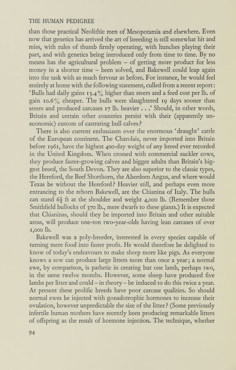 THE HUMAN PEDIGREE than those practical Neolithic men of Mesopotamia and elsewhere. Even now that genetics has arrived the art of breeding is still somewhat hit and miss, with rules of thumb firmly operating, with hunches playing their part, and with genetics being introduced only from time to time. By no means has the agricultural problem - of getting more product for less money in a shorter time - been solved, and Bakewell could leap again into the task with as much fervour as before. For instance, he would feel entirely at home with the following statement, culled from a recent report : 'Bulls had daily gains 13.4% higher than steers and a feed cost per lb. of gain 10.6% cheaper. The bulls were slaughtered 19 days sooner than steers and produced carcases 17 lb. heavier . . .' Should, in other words, Britain and certain other countries persist with their (apparently un¬ economic) custom of castrating bull calves ? There is also current enthusiasm over the enormous 'draught' cattle of the European continent. The Charoláis, never imported into Britain before 1961, have the highest 400-day weight of any breed ever recorded in the United Kingdom. When crossed with commercial suckler cows, they produce faster-growing calves and bigger adults than Britain's big¬ gest breed, the South Devon. They are also superior to the classic types, the Hereford, the Beef Shorthorn, the Aberdeen Angus, and where would Texas be without the Hereford? Heavier still, and perhaps even more entrancing to the reborn Bakewell, are the Chianina of Italy. The bulls can stand 6| ft at the shoulder and weight 4,000 lb. (Remember those Smithfield bullocks of 370 lb., mere dwarfs to these giants.) It is expected that Chianinas, should they be imported into Britain and other suitable areas, will produce one-ton two-year-olds having lean carcases of over 1,000 lb. Bakewell was a poly-breeder, interested in every species capable of turning mere food into faster profit. He would therefore be delighted to know of today's endeavours to make sheep more like pigs. As everyone knows a sow can produce large litters more than once a year; a normal ewe, by comparison, is pathetic in creating but one lamb, perhaps two, in the same twelve months. However, some sheep have produced five lambs per litter and could - in theory - be induced to do this twice a year. At present these prolific breeds have poor carcase qualities. So should normal ewes be injected with gonadotrophic hormones to increase their ovulation, however unpredictable the size of the litter.^ (Some previously infertile human mothers have recently been producing remarkable litters of offspring as the result of hormone injection. The technique, whether 94