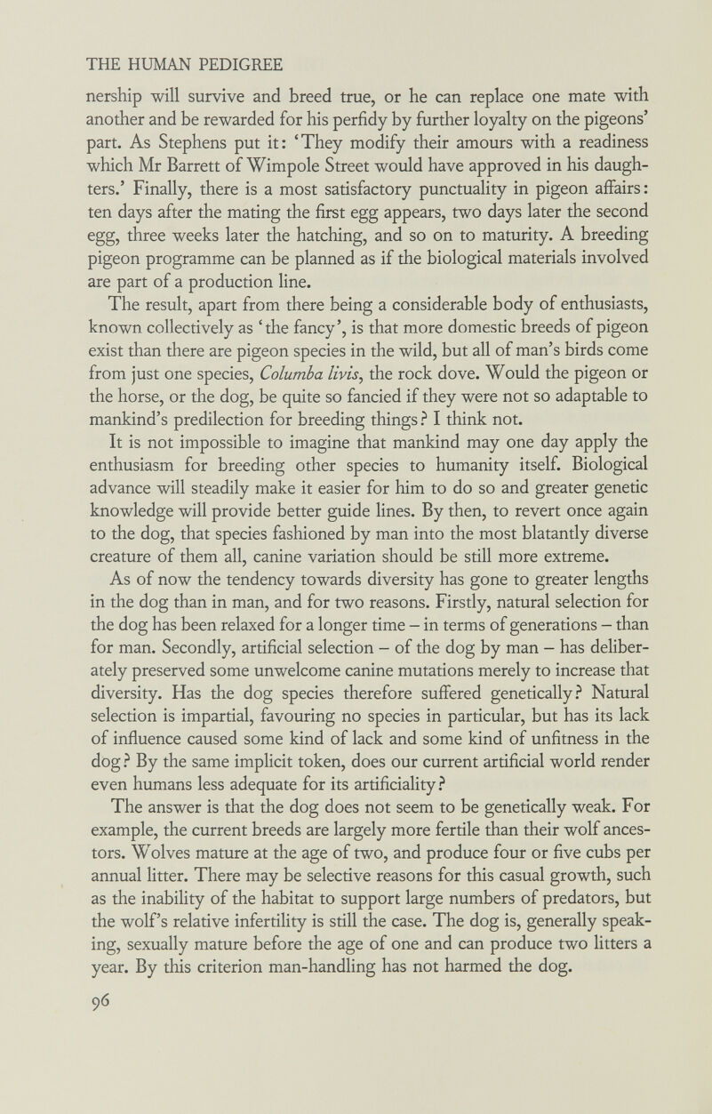 THE HUMAN PEDIGREE nership will survive and breed true, or he can replace one mate with another and be rewarded for his perfidy by further loyalty on the pigeons' part. As Stephens put it: 'They modify their amours with a readiness which Mr Barrett of Wimpole Street would have approved in his daugh¬ ters.' Finally, there is a most satisfactory punctuality in pigeon affairs: ten days after the mating the first egg appears, two days later the second egg, three weeks later the hatching, and so on to maturity. A breeding pigeon programme can be planned as if the biological materials involved are part of a production line. The result, apart from there being a considerable body of enthusiasts, known collectively as 'the fancy', is that more domestic breeds of pigeon exist than there are pigeon species in the wild, but all of man's birds come from just one species, Columba livis, the rock dove. Would the pigeon or the horse, or the dog, be quite so fancied if they were not so adaptable to mankind's predilection for breeding things ? I think not. It is not impossible to imagine that mankind may one day apply the enthusiasm for breeding other species to humanity itself. Biological advance will steadily make it easier for him to do so and greater genetic knowledge will provide better guide lines. By then, to revert once again to the dog, that species fashioned by man into the most blatantly diverse creature of them all, canine variation should be still more extreme. As of now the tendency towards diversity has gone to greater lengths in the dog than in man, and for two reasons. Firstly, natural selection for the dog has been relaxed for a longer time - in terms of generations - than for man. Secondly, artificial selection - of the dog by man - has deliber¬ ately preserved some unwelcome canine mutations merely to increase that diversity. Has the dog species therefore suffered genetically.^ Natural selection is impartial, favouring no species in particular, but has its lack of influence caused some kind of lack and some kind of unfitness in the dog ? By the same implicit token, does our current artificial world render even humans less adequate for its artificiality} The answer is that the dog does not seem to be genetically weak. For example, the current breeds are largely more fertile than their wolf ances¬ tors. Wolves mature at the age of two, and produce four or five cubs per annual litter. There may be selective reasons for this casual growth, such as the inability of the habitat to support large numbers of predators, but the wolf's relative infertility is still the case. The dog is, generally speak¬ ing, sexually mature before the age of one and can produce two litters a year. By this criterion man-handling has not harmed the dog. 96