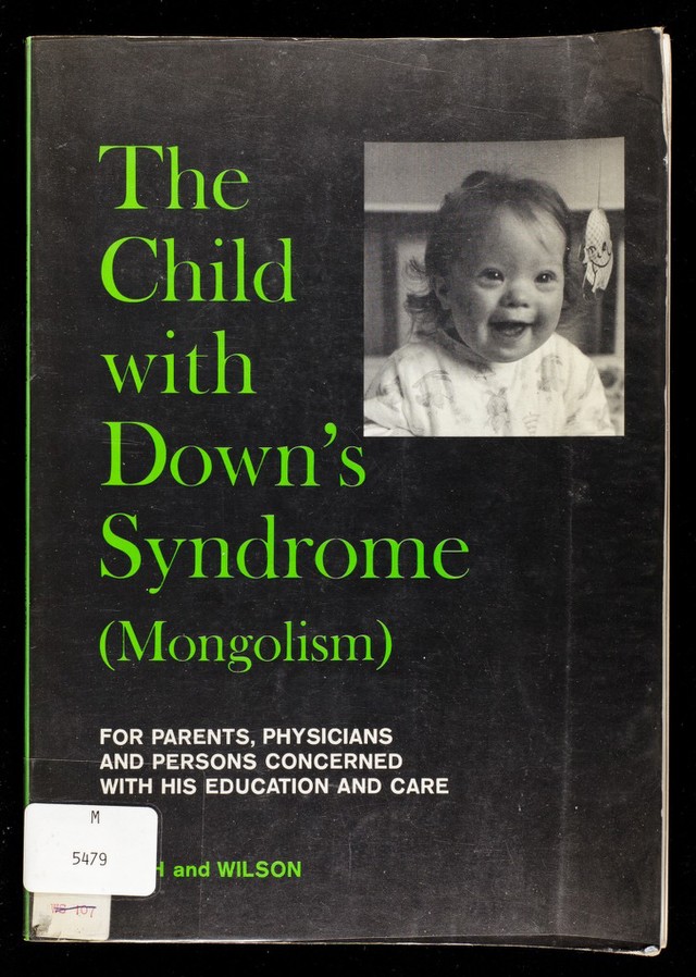 No text description is available for this image