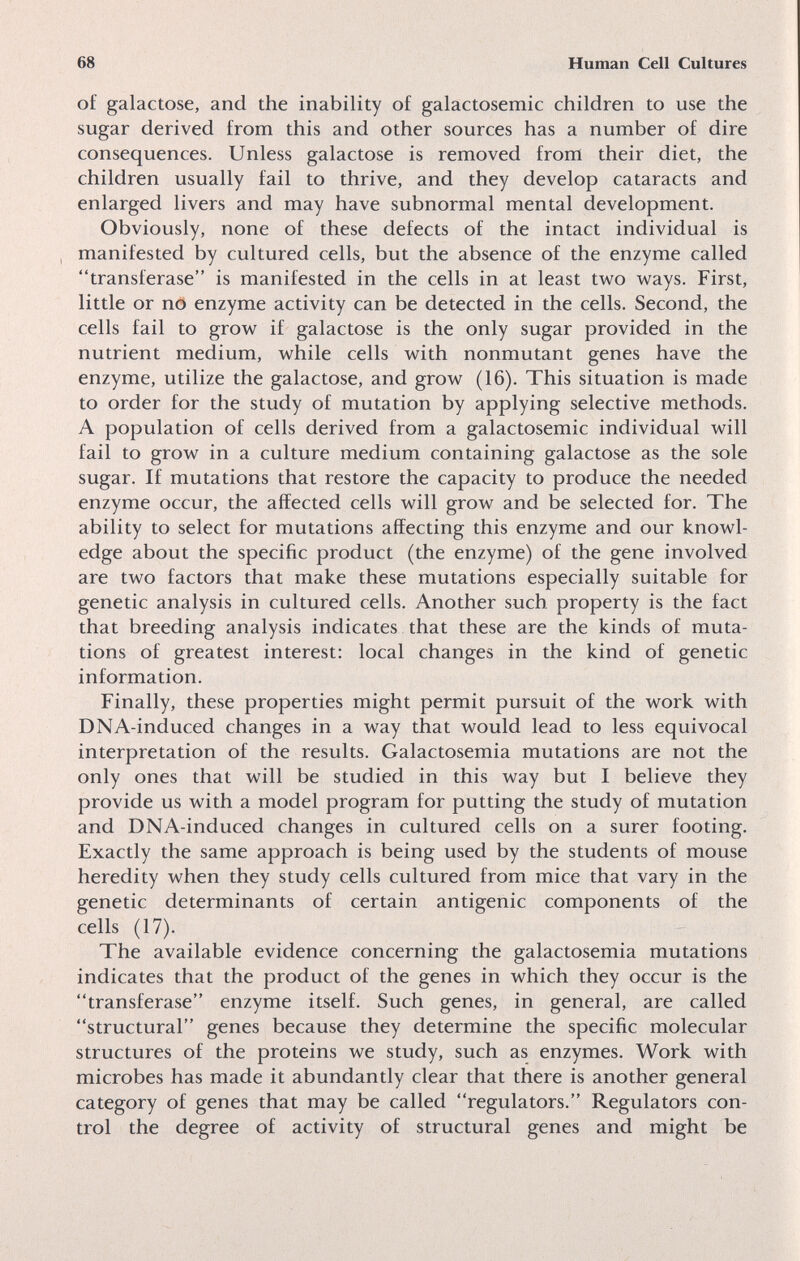 68 Human Cell Cultures of galactose, and the inability of galactosemic children to use the sugar derived from this and other sources has a number of dire consequences. Unless galactose is removed from their diet, the children usually fail to thrive, and they develop cataracts and enlarged livers and may have subnormal mental development. Obviously, none of these defects of the intact individual is , manifested by cultured cells, but the absence of the enzyme called transferase is manifested in the cells in at least two ways. First, little or no enzyme activity can be detected in the cells. Second, the cells fail to grow if galactose is the only sugar provided in the nutrient medium, while cells with nonmutant genes have the enzyme, utilize the galactose, and grow (16). This situation is made to order for the study of mutation by applying selective methods. A population of cells derived from a galactosemic individual will fail to grow in a culture medium containing galactose as the sole sugar. If mutations that restore the capacity to produce the needed enzyme occur, the affected cells will grow and be selected for. The ability to select for mutations affecting this enzyme and our knowl¬ edge about the specific product (the enzyme) of the gene involved are two factors that make these mutations especially suitable for genetic analysis in cultured cells. Another such property is the fact that breeding analysis indicates that these are the kinds of muta¬ tions of greatest interest: local changes in the kind of genetic information. Finally, these properties might permit pursuit of the work with DNA-induced changes in a way that would lead to less equivocal interpretation of the results. Galactosemia mutations are not the only ones that will be studied in this way but I believe they provide us with a model program for putting the study of mutation and DNA-induced changes in cultured cells on a surer footing. Exactly the same approach is being used by the students of mouse heredity when they study cells cultured from mice that vary in the eenetic determinants of certain antigenic components of the cells (17). The available evidence concerning the galactosemia mutations indicates that the product of the genes in which they occur is the transferase enzyme itself. Such genes, in general, are called structural genes because they determine the specific molecular structures of the proteins we study, such as enzymes. Work with microbes has made it abundantly clear that there is another general category of genes that may be called regulators. Regulators con¬ trol the degree of activity of structural genes and might be