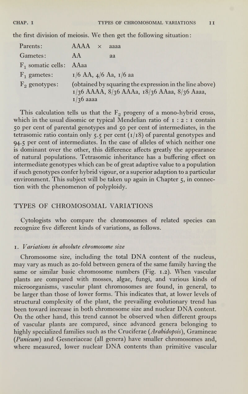 CHAP. I TYPES OF CHROMOSOMAL VARIATIONS II the first division of meiosis. We then get the following situation : Parents: AAAA x aaaa Gametes ; AA aa somatic cells: AAaa Fj gametes: i/6 AA, 4/6 Aa, 1/6 aa F2 genotypes : (obtained by squaring the expression in the line above) 1/36 AAAA, 8/36 AAAa, 18/36 AAaa, 8/36 Aaaa, 1/36 aaaa This calculation tells us that the Fg progeny of a mono-hybrid cross, v^^hich in the usual disomic or typical Mendelian ratio of i : 2 : i contain 50 per cent of parental genotypes and 50 per cent of intermediates, in the tetrasomic ratio contain only 5.5 per cent (1/18) of parental genotypes and 94.5 per cent of intermediates. In the case of alleles of which neither one is dominant over the other, this difference affects greatly the appearance of natural populations. Tetrasomic inheritance has a buffering effect on intermediate genotypes which can be of great adaptive value to a population if such genotypes confer hybrid vigour, or a superior adaption to a particular environment. This subject will be taken up again in Chapter 5, in connec¬ tion with the phenomenon of polyploidy. TYPES OF CHROMOSOMAL VARIATIONS Cytologists who compare the chromosomes of related species can recognize five different kinds of variations, as follows. I. Variations in absolute chromosome size Chromosome size, including the total DNA content of the nucleus, may vary as much as 20-fold between genera of the same family having the same or similar basic chromosome numbers (Fig. 1.2). When vascular plants are compared with mosses, algae, fungi, and various kinds of microorganisms, vascular plant chromosomes are found, in general, to be larger than those of lower forms. This indicates that, at lower levels of structural complexity of the plant, the prevailing evolutionary trend has been toward increase in both chromosome size and nuclear DNA content. On the other hand, this trend cannot be observed when different groups of vascular plants are compared, since advanced genera belonging to highly specialized families such as the Cruciferae (Arabidopsis), Gramineae (Panicum) and Gesneriaceae (all genera) have smaller chromosomes and, where measured, lower nuclear DNA contents than primitive vascular