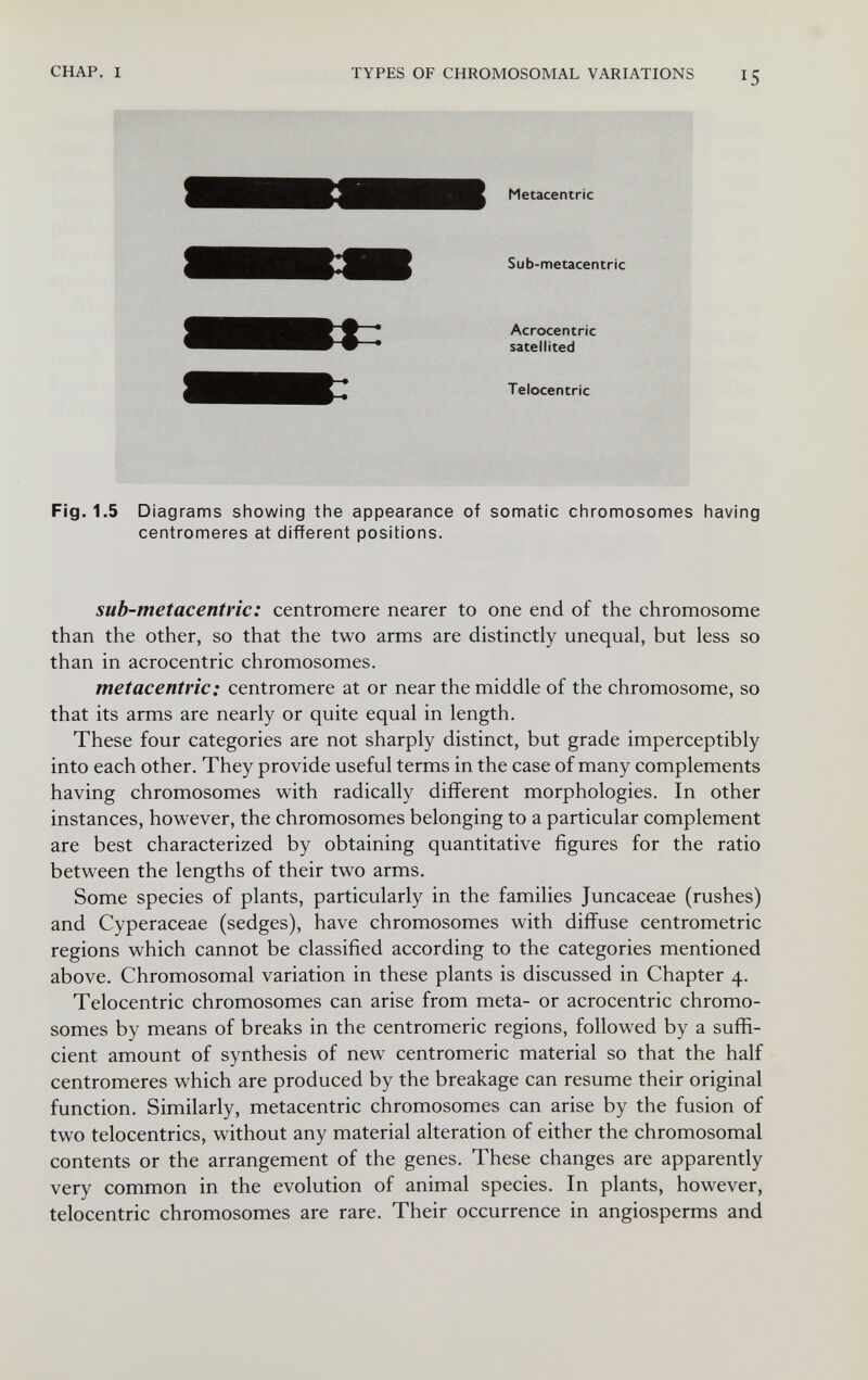 CHAP. I TYPES OF CHROMOSOMAL VARIATIONS 15 Ш Metacentric Sub-metacentric Acrocentric satellited Telocentric Fig. 1.5 Diagrams showing the appearance of somatic chromosomes having centromeres at different positions. sub-metacentric: centromere nearer to one end of the chromosome than the other, so that the two arms are distinctly unequal, but less so than in acrocentric chromosomes. metacentric: centromere at or near the middle of the chromosome, so that its arms are nearly or quite equal in length. These four categories are not sharply distinct, but grade imperceptibly into each other. They provide useful terms in the case of many complements having chromosomes with radically different morphologies. In other instances, however, the chromosomes belonging to a particular complement are best characterized by obtaining quantitative figures for the ratio between the lengths of their two arms. Some species of plants, particularly in the families Juncaceae (rushes) and Cyperaceae (sedges), have chromosomes with diffuse centrometric regions which cannot be classified according to the categories mentioned above. Chromosomal variation in these plants is discussed in Chapter 4. Telocentric chromosomes can arise from meta- or acrocentric chromo¬ somes by means of breaks in the centromeric regions, followed by a suffi¬ cient amount of synthesis of new centromeric material so that the half centromeres which are produced by the breakage can resume their original function. Similarly, metacentric chromosomes can arise by the fusion of two telocentrics, without any material alteration of either the chromosomal contents or the arrangement of the genes. These changes are apparently very common in the evolution of animal species. In plants, however, telocentric chromosomes are rare. Their occurrence in angiosperms and