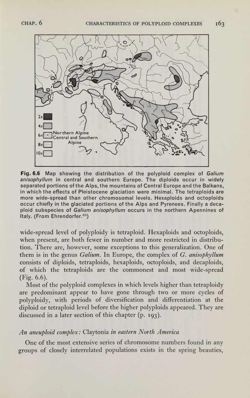 CHAP. 6 CHARACTERISTICS OF POLYPLOID COMPLEXES 163 Fig. 6.6 Map showing the distribution of the polyploid complex of Galium anisophyllum in central and southern Europe. The diploids occur in widely separated portions of the Alps, the mountains of Central Europe and the Balkans, in which the effects of Pleistocene glaciation were minimal. The tetraploids are more wide-spread than other chromosomal levels. Hexaploids and octoploids occur chiefly in the glaciated portions of the Alps and Pyrenees. Finally a deca- ploid subspecies of Galium anisophyllum occurs in the northern Apennines of Italy. (From Ehrendorfer.®®) wide-spread level of polyploidy is tetraploid. Hexaploids and octoploids, when present, are both fewer in number and more restricted in distribu¬ tion. There are, however, some exceptions to this generalization. One of them is in the genus Galium. In Europe, the complex of G. anisophyllum consists of diploids, tetraploids, hexaploids, octoploids, and decaploids, of which the tetraploids are the commonest and most wide-spread (Fig. 6.6). Most of the polyploid complexes in which levels higher than tetraploidy are predominant appear to have gone through two or more cycles of polyploidy, with periods of diversification and differentiation at the diploid or tetraploid level before the higher polyploids appeared. They are discussed in a later section of this chapter (p. 193). An aneuploid complex: Claytonia in eastern North America One of the most extensive series of chromosome numbers found in any groups of closely interrelated populations exists in the spring beauties.