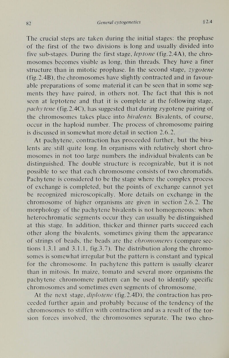 82 General cytogenetics §2.4 The crucial steps are taken during the initial stages: the prophase of the first of the two divisions is long and usually divided into five sub-stages. During the first stage, leptone (fig.2.4A), the chro¬ mosomes becomes visible as long, thin threads. They have a finer structure than in mitotic prophase. In the second stage, zygotene (fig.2.4B), the chromosomes have slightly contracted and in favour¬ able preparations of some material it can be seen that in some seg¬ ments they have paired, in others not. The fact that this is not seen at leptotene and that it is complete at the following stage, pachytene (fig.2.4C), has suggested that during zygotene pairing of the chromosomes takes place into bivalents. Bivalents, of course, occur in the haploid number. The process of chromosome pairing is discussed in somewhat more detail in section 2.6.2. At pachytene, contraction has proceeded further, but the biva¬ lents are still quite long. In organisms with relatively short chro¬ mosomes in not too large numbers the individual bivalents can be distinguished. The double structure is recognizable, but it is not possible to see that each chromosome consists of two chromatids. Pachytene is considered to be the stage where the complex process of exchange is completed, but the points of exchange cannot yet be recognized microscopically. More details on exchange in the chromosome of higher organisms are given in section 2.6.2. The morphology of the pachytene bivalents is not homogeneous: when heterochromatic segments occur they can usually be distinguished at this stage. In addition, thicker and thinner parts succeed each other along the bivalents, sometimes giving them the appearance of strings of beads, the beads are the chromomeres (compare sec¬ tions 1.3.1 and 3.1.1, fig.3.7). The distribution along the chromo¬ somes is somewhat irregular but the pattern is constant and typical for the chromosome. In pachytene this pattern is usually clearer than in mitosis. In maize, tomato and several more organisms the pachytene chromomere pattern can be used to identify specific chromosomes and sometimes even segments of chromosome. At the next stage, diplotene (fig.2.4D), the contraction has pro¬ ceeded further again and probably because of the tendency of the chromosomes to stiffen with contraction and as a result of the tor¬ sion forces involved, the chromosomes separate. The two chro-