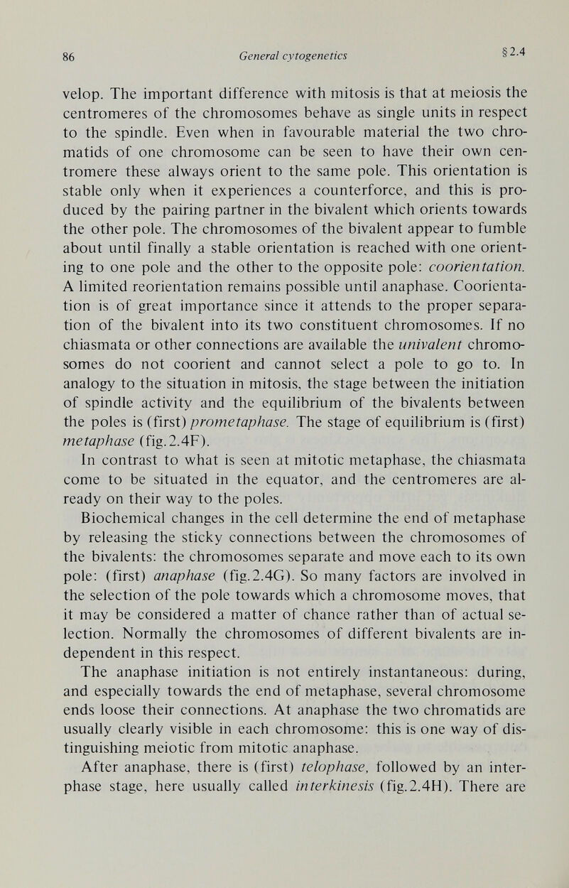 86 General cytogenetics §2.4 velop. The important difference with mitosis is that at meiosis the centromeres of the chromosomes behave as single units in respect to the spindle. Even when in favourable material the two chro¬ matids of one chromosome can be seen to have their own cen¬ tromere these always orient to the same pole. This orientation is stable only when it experiences a counterforce, and this is pro¬ duced by the pairing partner in the bivalent which orients towards the other pole. The chromosomes of the bivalent appear to fumble about until finally a stable orientation is reached with one orient¬ ing to one pole and the other to the opposite pole: coorientation. A limited reorientation remains possible until anaphase. Coorienta¬ tion is of great importance since it attends to the proper separa¬ tion of the bivalent into its two constituent chromosomes. If no chiasmata or other connections are available the univalent chromo¬ somes do not coorient and cannot select a pole to go to. In analogy to the situation in mitosis, the stage between the initiation of spindle activity and the equilibrium of the bivalents between the poles is (first) prometaphase. The stage of equilibrium is (first) metaphase (fig.2.4F). In contrast to what is seen at mitotic metaphase, the chiasmata come to be situated in the equator, and the centromeres are al¬ ready on their way to the poles. Biochemical changes in the cell determine the end of metaphase by releasing the sticky connections between the chromosomes of the bivalents: the chromosomes separate and move each to its own pole: (first) anaphase (fig.2.4G). So many factors are involved in the selection of the pole towards which a chromosome moves, that it may be considered a matter of chance rather than of actual se¬ lection. Normally the chromosomes of different bivalents are in¬ dependent in this respect. The anaphase initiation is not entirely instantaneous: during, and especially towards the end of metaphase, several chromosome ends loose their connections. At anaphase the two chromatids are usually clearly visible in each chromosome: this is one way of dis¬ tinguishing meiotic from mitotic anaphase. After anaphase, there is (first) telophase, followed by an inter¬ phase stage, here usually called interkinesis (fig.2.4H). There are