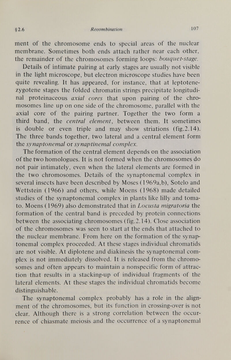 §2.6 Recombination 107 ment of the chromosome ends to special areas of the nuclear membrane. Sometimes both ends attach rather near each other, the remainder of the chromosomes forming loops: bouquet-stage. Details of intimate pairing at early stages are usually not visible in the light microscope, but electron microscope studies have been quite revealing. It has appeared, for instance, that at leptotene- zygotene stages the folded chromatin strings precipitate longitudi¬ nal proteinaceous axial cores that upon pairing of the chro¬ mosomes line up on one side of the chromosome, parallel with the axial core of the pairing partner. Together the two form a third band, the central element, between them. It sometimes is double or even triple and may show striations (fig.2.14). The three bands together, two lateral and a central element form the synaptonemal or synaptinemal complex. The formation of the central element depends on the association of the two homologues. It is not formed when the chromosomes do not pair intimately, even when the lateral elements are formed in the two chromosomes. Details of the synaptonemal complex in several insects have been described by Moses (1969a,b), Sotelo and Wettstein (1966) and others, while Moens (1968) made detailed studies of the synaptonemal complex in plants like lilly and toma¬ to. Moens ( 1969) also demonstrated that in Locusta migratoria the formation of the central band is preceded by protein connections between the associating chromosomes (fig.2.14). Close association of the chromosomes was seen to start at the ends that attached to the nuclear membrane. From here on the formation of the synap¬ tonemal complex proceeded. At these stages individual chromatids are not visible. At diplotene and diakinesis the synaptonemal com¬ plex is not immediately dissolved. It is released from the chromo¬ somes and often appears to maintain a nonspecific form of attrac¬ tion that results in a stacking-up of individual fragments of the lateral elements. At these stages the individual chromatids become distinguishable. The synaptonemal complex probably has a role in the align¬ ment of the chromosomes, but its function in crossing-over is not clear. Although there is a strong correlation between the occur¬ rence of chiasmate meiosis and the occurrence of a synaptonemal