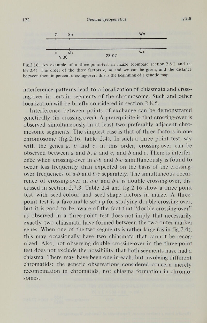 122 General cytogenetics §2.8 С Sh Wx с sh 23.07 wx ^.36 Fig.2.16. An example of a three-point-test in maize (compare section 2.8.1 and ta¬ ble 2.4). The order of the three factors c, sh and wx can be given, and the distance between them in percent crossing-over: this is the beginning of a genetic map. interference patterns lead to a localization of chiasmata and cross¬ ing-over in certain segments of the chromosome. Such and other localization will be briefly considered in section 2.8.5. Interference between points of exchange can be demonstrated genetically (in crossing-over). A prerequisite is that crossing-over is observed simultaneously in at least two preferably adjacent chro¬ mosome segments. The simplest case is that of three factors in one chromosome (fig.2.16, table 2.4). In such a three point test, say with the genes a, b and c, in this order, crossing-over can be observed between a and b, a and c, and b and c. There is interfer¬ ence when crossing-over in a-b and b-c simultaneously is found to occur less frequently than expected on the basis of the crossing- over frequences of a-b and b-c separately. The simultaneous occur¬ rence of crossing-over in a-b and b-c is double crossing-over, dis¬ cussed in section 2.7.3. Table 2.4 and fig.2.16 show a three-point test with seed-colour and seed-shape factors in maize. A three- point test is a favourable set-up for studying double crossing-over, but it is good to be aware of the fact that double crossing-over as observed in a three-point test does not imply that necessarily exactly two chiasmata have formed between the two outer marker genes. When one of the two segments is rather large (as in fig.2.4), this may occasionally have two chiasmata that cannot be recog¬ nized. Also, not observing double crossing-over in the three-point test does not exclude the possibility that both segments have had a chiasma. There may have been one in each, but involving different chromatids: the genetic observations considered concern merely recombination in chromatids, not chiasma formation in chromo¬ somes.