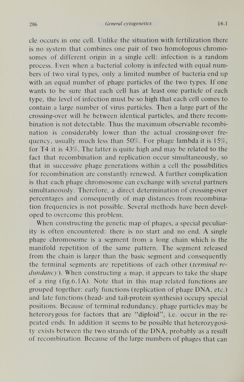 286 General cytogenetics §6.1 ele occurs in one cell. Unlike the situation with fertilization there is no system that combines one pair of two homologous chromo¬ somes of different origin in a single cell: infection is a random process. Even when a bacterial colony is infected with equal num¬ bers of two viral types, only a limited number of bacteria end up with an equal number of phage particles of the two types. If one wants to be sure that each cell has at least one particle of each type, the level of infection must be so high that each cell comes to contain a large number of virus particles. Then a large part of the crossing-over will be between identical particles, and there recom¬ bination is not detectable. Thus the maximum observable recombi¬ nation is considerably lower than the actual crossing-over fre¬ quency, usually much less than 50%. For phage lambda it is 15%, for T4 it is 43%. The latter is quite high and may be related to the fact that recombination and replication occur simultaneously, so that in successive phage generations within a cell the possibilities for recombination are constantly renewed. A further complication is that each phage chromosome can exchange with several partners simultaneously. Therefore, a direct determination of crossing-over percentages and consequently of map distances from recombina¬ tion frequencies is not possible. Several methods have been devel¬ oped to overcome this problem. When constructing the genetic map of phages, a special peculiar¬ ity is often encountered: there is no start and no end. A single phage chromosome is a segment from a long chain which is the manifold repetition of the same pattern. The segment released from the chain is larger than the basic segment and consequently the terminal segments are repetitions of each other {terminal re¬ dundancy). When constructing a map, it appears to take the shape of a ring (fig.6.1A). Note that in this map related functions are grouped together: early functions (replication of phage DNA, etc.) and late functions (head- and tail-protein synthesis) occupy special positions. Because of terminal redundancy, phage particles may be heterozygous for factors that are diploid, i.e. occur in the re¬ peated ends. In addition it seems to be possible that heterozygosi¬ ty exists between the two strands of the DNA, probably as a result of recombination. Because of the large numbers of phages that can