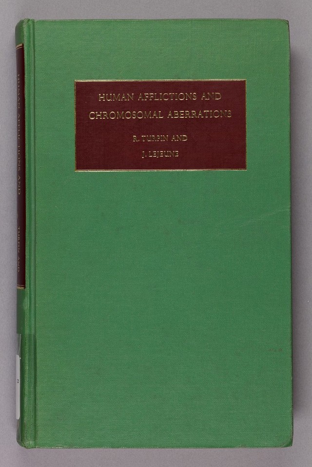 digitised image 1