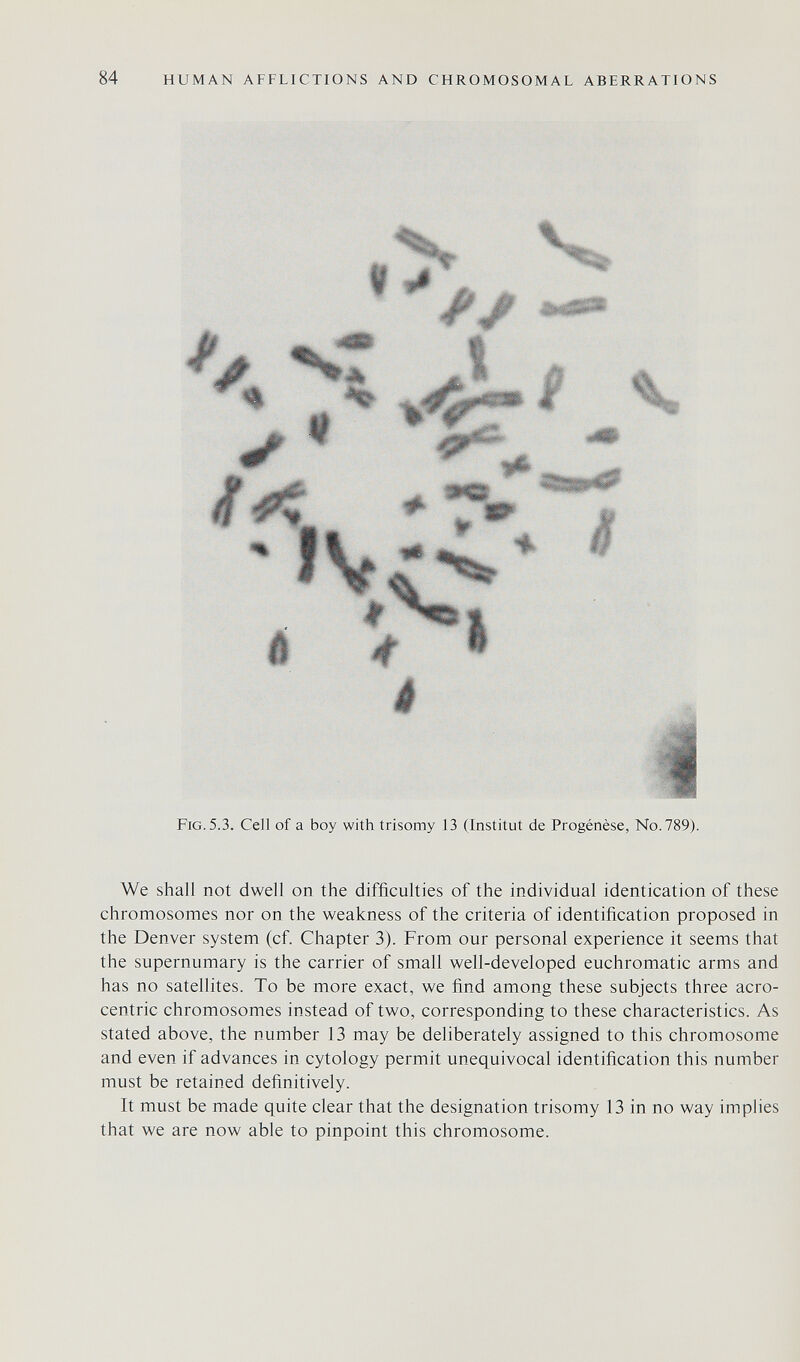 84 HUMAN AFFLICTIONS AND CHROMOSOMAL ABERRATIONS Fig. 5.3. Cell of a boy with trisomy 13 (Institut de Progénèse, No. 789). We shall not dwell on the difficulties of the individual identication of these chromosomes nor on the weakness of the criteria of identification proposed in the Denver system (cf. Chapter 3). From our personal experience it seems that the supernumary is the carrier of small well-developed euchromatic arms and has no satellites. To be more exact, we find among these subjects three acro¬ centric chromosomes instead of two, corresponding to these characteristics. As stated above, the number 13 may be deliberately assigned to this chromosome and even if advances in cytology permit unequivocal identification this number must be retained definitively. It must be made quite clear that the designation trisomy 13 in no way implies that we are now able to pinpoint this chromosome.