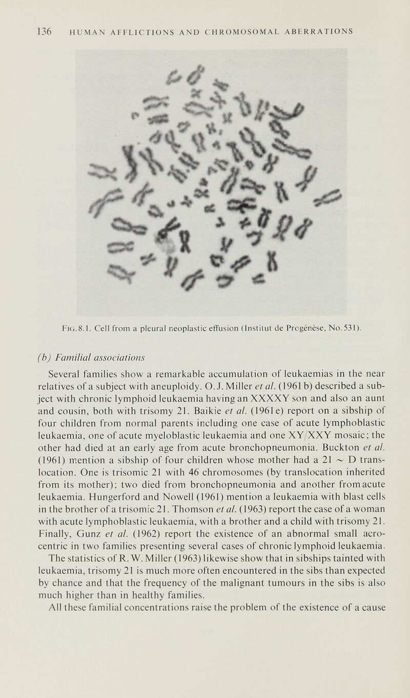 136 HUMAN AFFLICTIONS AND CHROMOSOMAL ABERRATIONS Fig. 8.1. Cell from a pleural neoplastic effusion (Institut de Progénèse, No. 531). (b) Familial associations Several families show a remarkable accumulation of leukaemias in the near relatives of a subject with aneuploidy. O. J. Miller et al. (1961 b) described a sub¬ ject with chronic lymphoid leukaemia having an XXXXY son and also an aunt and cousin, both with trisomy 21. Baikie et al. (1961e) report on a sibship of four children from normal parents including one case of acute lymphoblastic leukaemia, one of acute myeloblastic leukaemia and one XY/XXY mosaic; the other had died at an early age from acute bronchopneumonia. Buckton et al. (1961) mention a sibship of four children whose mother had a 21 ~ D trans¬ location. One is trisomie 21 with 46 chromosomes (by translocation inherited from its mother); two died from bronchopneumonia and another from acute leukaemia. Hungerford and Nowell (1961) mention a leukaemia with blast cells in the brother of a trisomie 21. Thomson et al. (1963) report the case of a woman with acute lymphoblastic leukaemia, with a brother and a child with trisomy 21. Finally, Gunz et al. (1962) report the existence of an abnormal small acro¬ centric in two families presenting several cases of chronic lymphoid leukaemia. The statistics of R.W.Miller (1963) likewise show that in sibships tainted with leukaemia, trisomy 21 is much more often encountered in the sibs than expected by chance and that the frequency of the malignant tumours in the sibs is also much higher than in healthy families. All these familial concentrations raise the problem of the existence of a cause