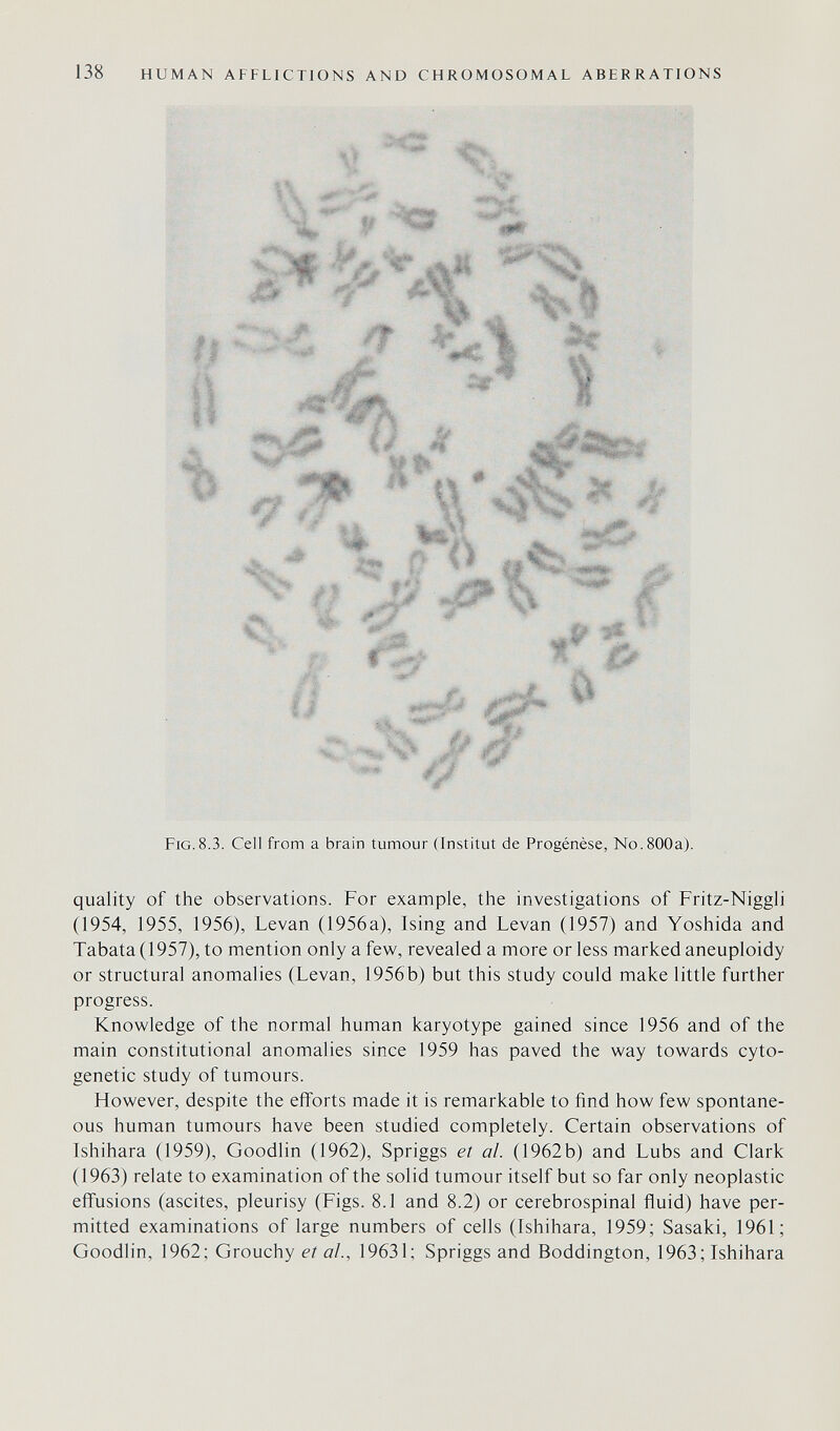 138 HUMAN AFFLICTIONS AND CHROMOSOMAL ABERRATIONS % Й ;  * % ' ' ' 'I,»' . ■ Fig.8.3. Cell from a brain tumour (Institut de Progénèse, No. 800a). quality of the observations. For example, the investigations of Fritz-Niggli (1954, 1955, 1956), Levan (1956a), Ising and Levan (1957) and Yoshida and Tabata (1957), to mention only a few, revealed a more or less marked aneuploidy or structural anomalies (Levan, 1956b) but this study could make little further progress. Knowledge of the normal human karyotype gained since 1956 and of the main constitutional anomalies since 1959 has paved the way towards cyto¬ genetic study of tumours. However, despite the efforts made it is remarkable to find how few spontane¬ ous human tumours have been studied completely. Certain observations of Ishihara (1959), Goodlin (1962), Spriggs er ai. (1962b) and Lubs and Clark (1963) relate to examination of the solid tumour itself but so far only neoplastic effusions (ascites, pleurisy (Figs. 8.1 and 8.2) or cerebrospinal fluid) have per¬ mitted examinations of large numbers of cells (Ishihara, 1959; Sasaki, 1961; Goodlin, 1962; Grouchy et al., 19631; Spriggs and Boddington, 1963; Ishihara