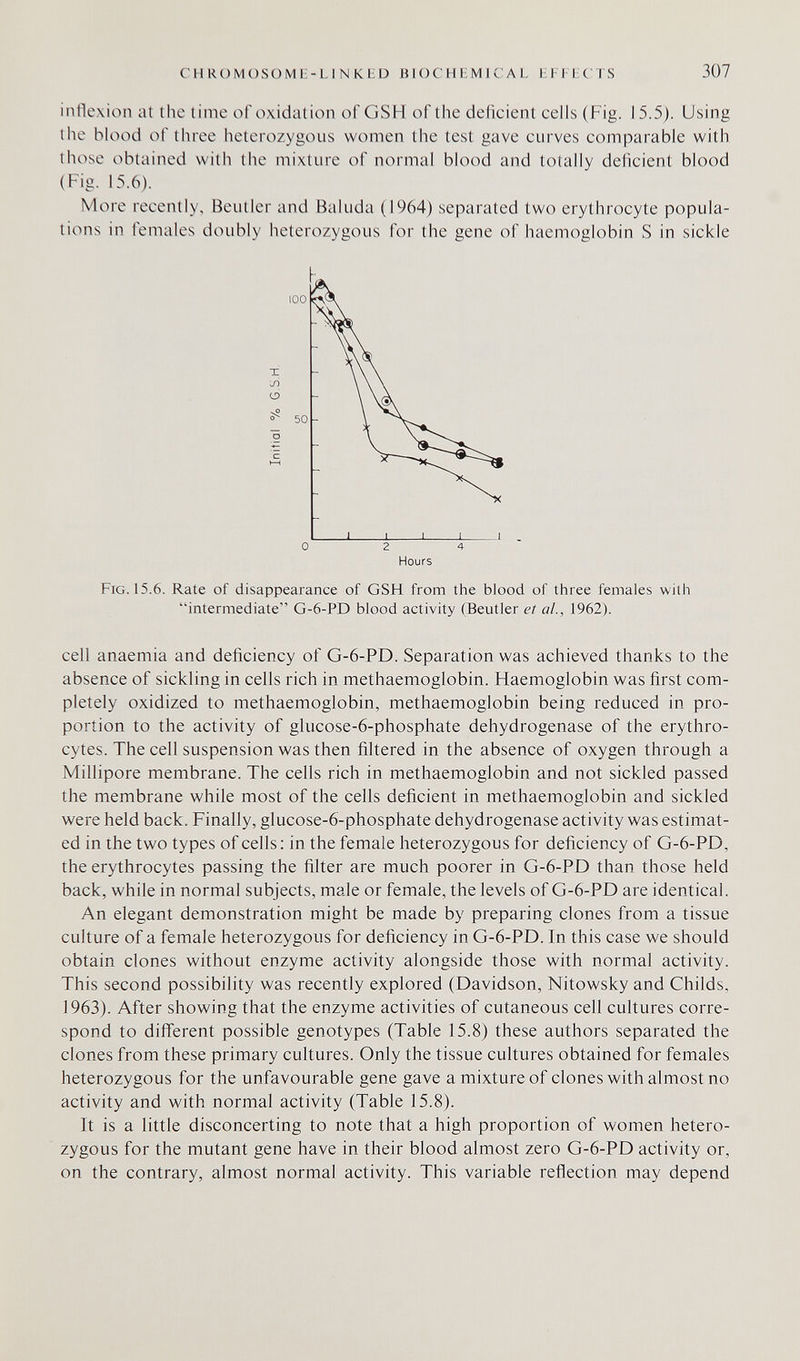 chromosome-linked biochemical effects 307 inflexion at the time of oxidation of GSH of tiie deficient ceils (Fig. 15.5). Using the blood of three iieterozygous women the test gave curves comparable with those obtained with the mixture of normal blood and totally deficient blood (Fig. 15.6). More recently, Beutler and Baluda (1964) separated two erythrocyte popula¬ tions in females doubly heterozygous for the gene of haemoglobin S in sickle Fig. 15.6. Rate of disappearance of GSH from the blood of three females with intermediate G-6-PD blood activity (Beutler et al., 1962). cell anaemia and deficiency of G-6-PD. Separation was achieved thanks to the absence of sickling in cells rich in methaemoglobin. Haemoglobin was first com¬ pletely oxidized to methaemoglobin, methaemoglobin being reduced in pro¬ portion to the activity of glucose-6-phosphate dehydrogenase of the erythro¬ cytes. The cell suspension was then filtered in the absence of oxygen through a Millipore membrane. The cells rich in methaemoglobin and not sickled passed the membrane while most of the cells deficient in methaemoglobin and sickled were held back. Finally, glucose-6-phosphate dehydrogenase activity was estimat¬ ed in the two types of cells; in the female heterozygous for deficiency of G-6-PD, the erythrocytes passing the filter are much poorer in G-6-PD than those held back, while in normal subjects, male or female, the levels of G-6-PD are identical. An elegant demonstration might be made by preparing clones from a tissue culture of a female heterozygous for deficiency in G-6-PD. In this case we should obtain clones without enzyme activity alongside those with normal activity. This second possibility was recently explored (Davidson, Nitowsky and Childs, 1963). After showing that the enzyme activities of cutaneous cell cultures corre¬ spond to différent possible genotypes (Table 15.8) these authors separated the clones from these primary cultures. Only the tissue cultures obtained for females heterozygous for the unfavourable gene gave a mixture of clones with almost no activity and with normal activity (Table 15.8). It is a little disconcerting to note that a high proportion of women hetero¬ zygous for the mutant gene have in their blood almost zero G-6-PD activity or, on the contrary, almost normal activity. This variable reflection may depend